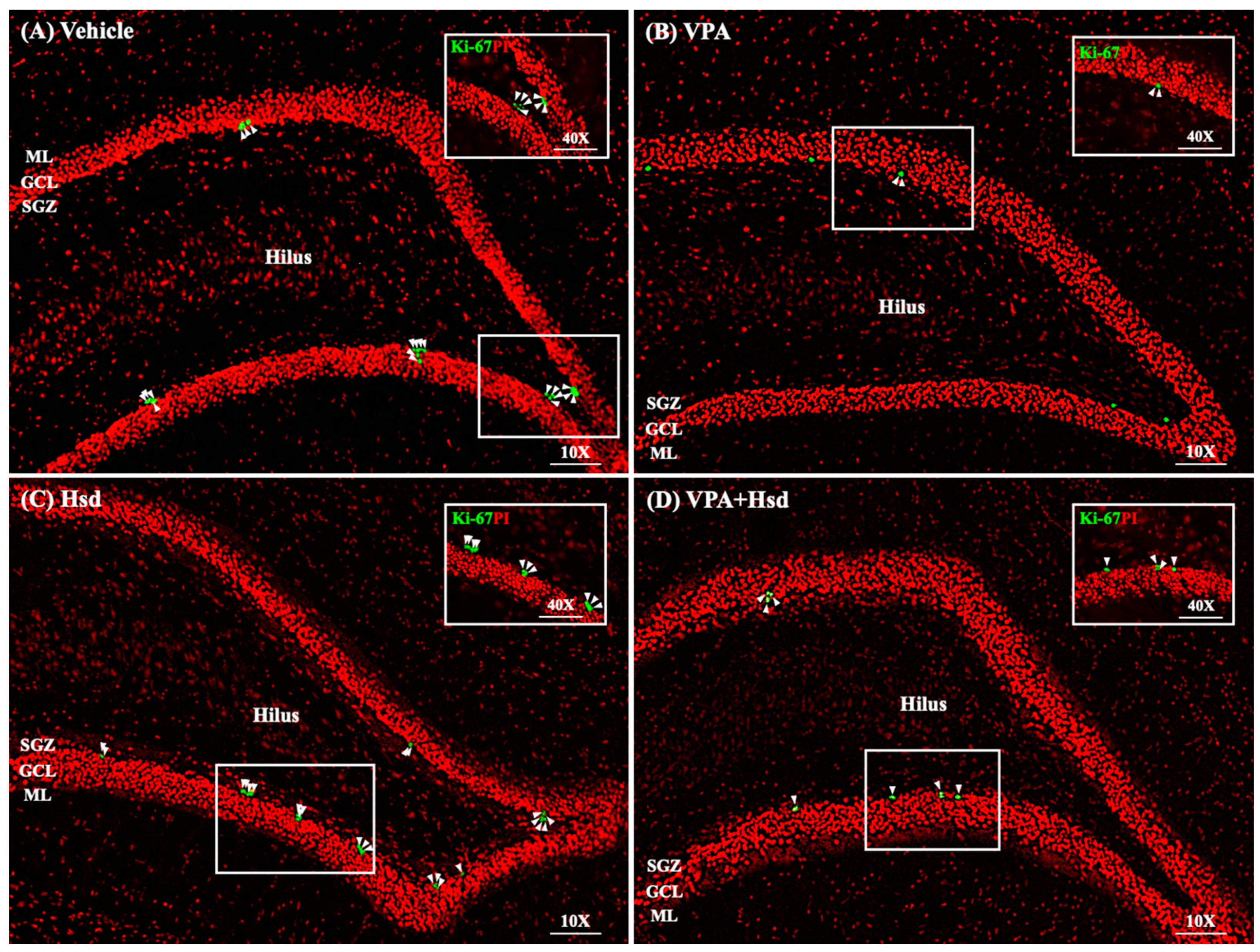 Nutrients 13 04364 g005 Nutrients 13 04364 g005