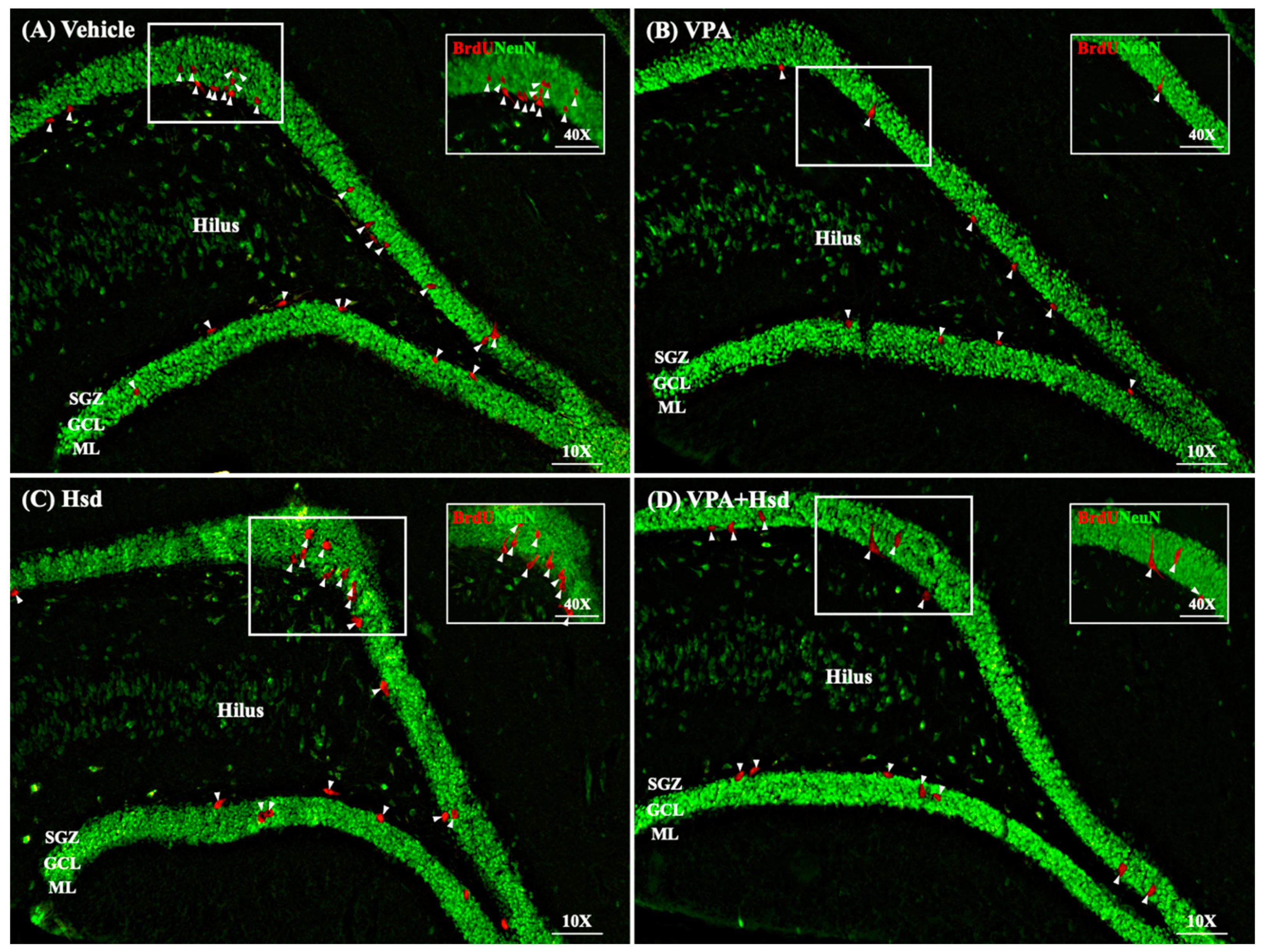 Nutrients 13 04364 g007 Nutrients 13 04364 g007