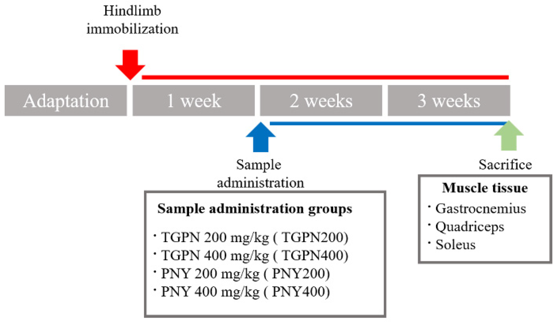 Nutrients 13 04385 g001
