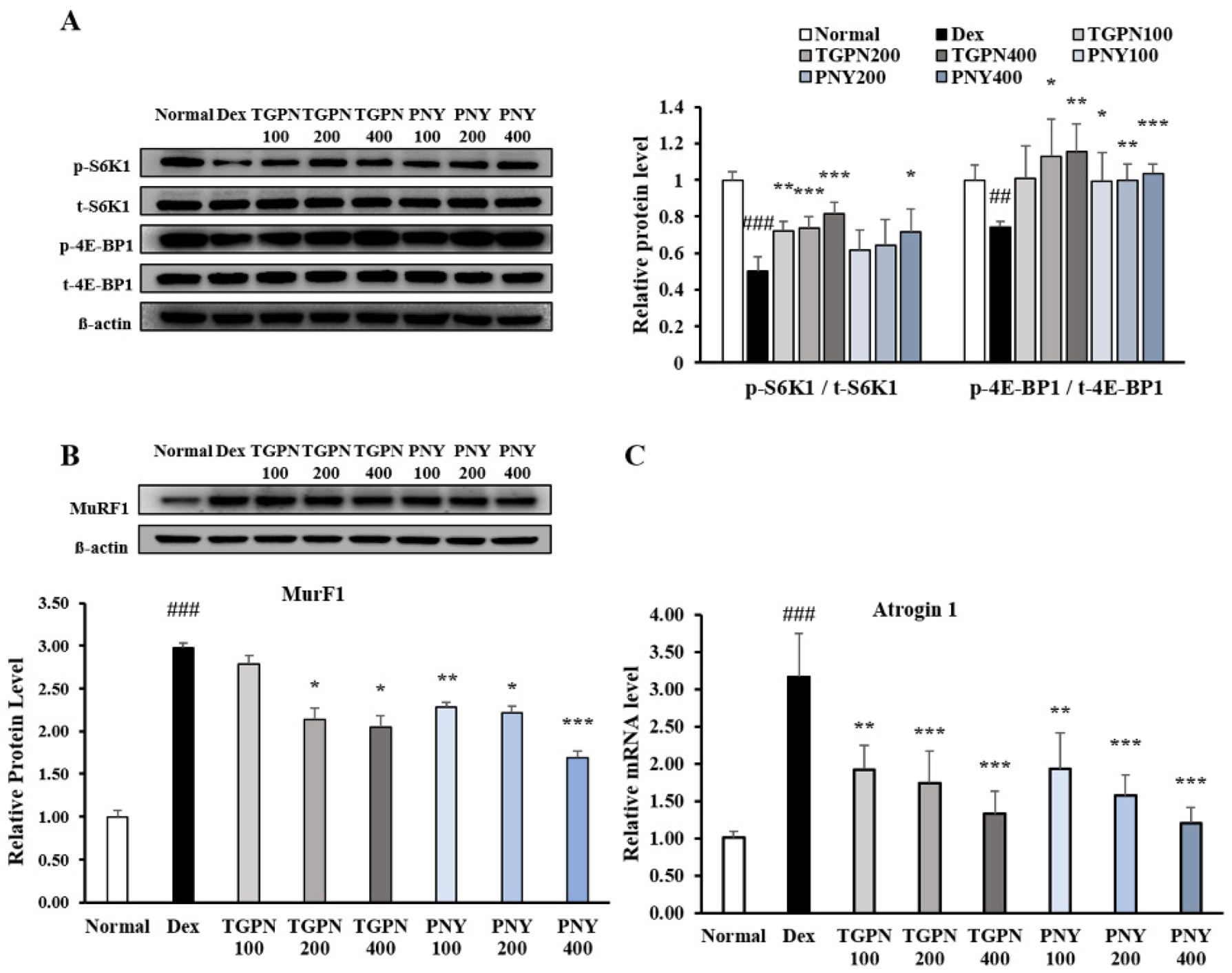 Nutrients 13 04385 g003