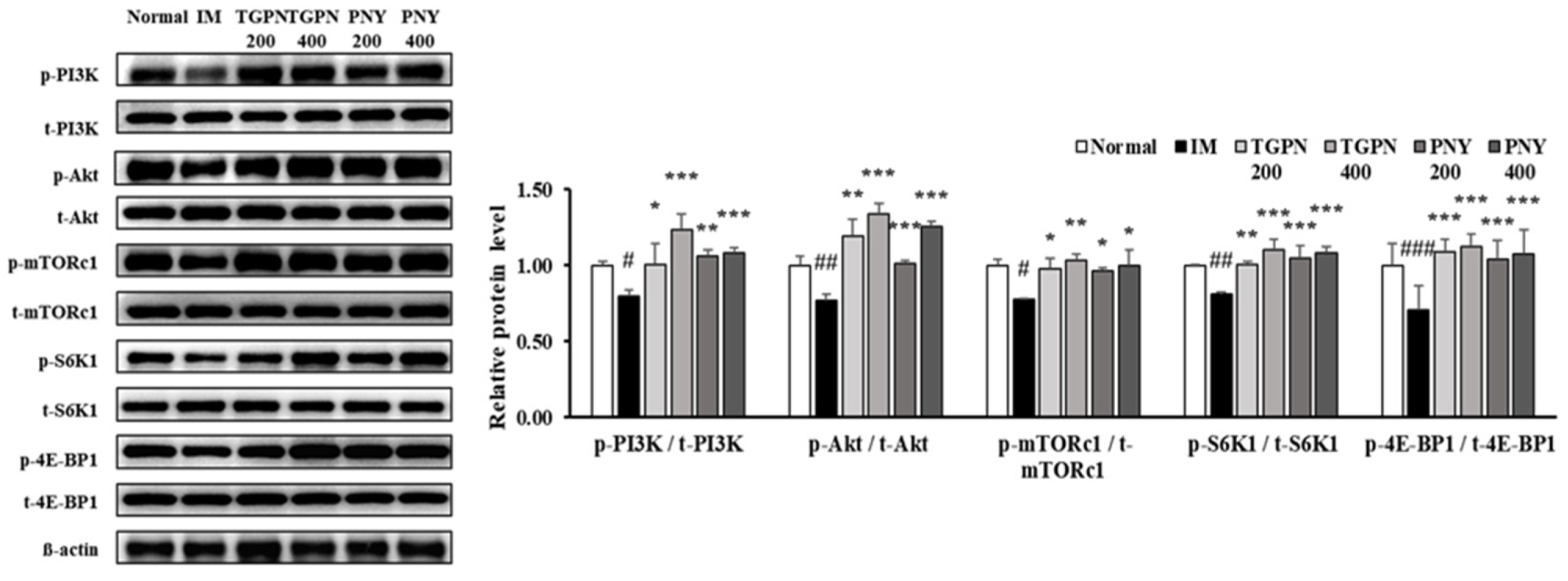 Nutrients 13 04385 g006