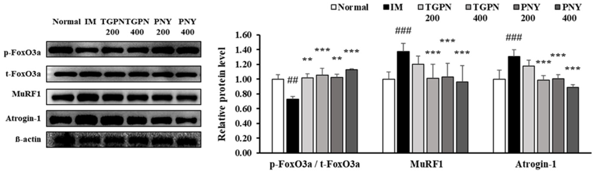 Nutrients 13 04385 g007