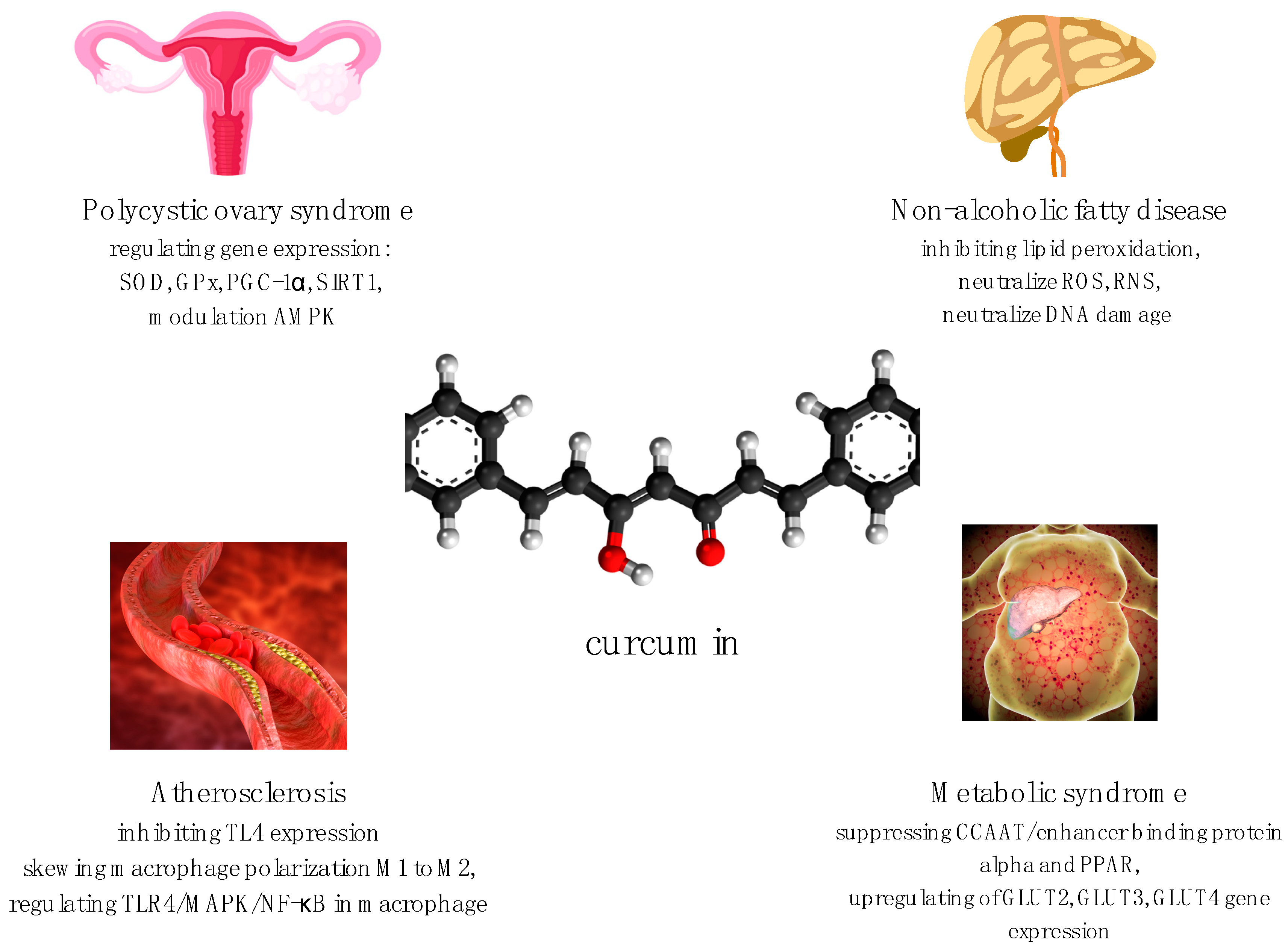 Nutrients 13 04440 g001