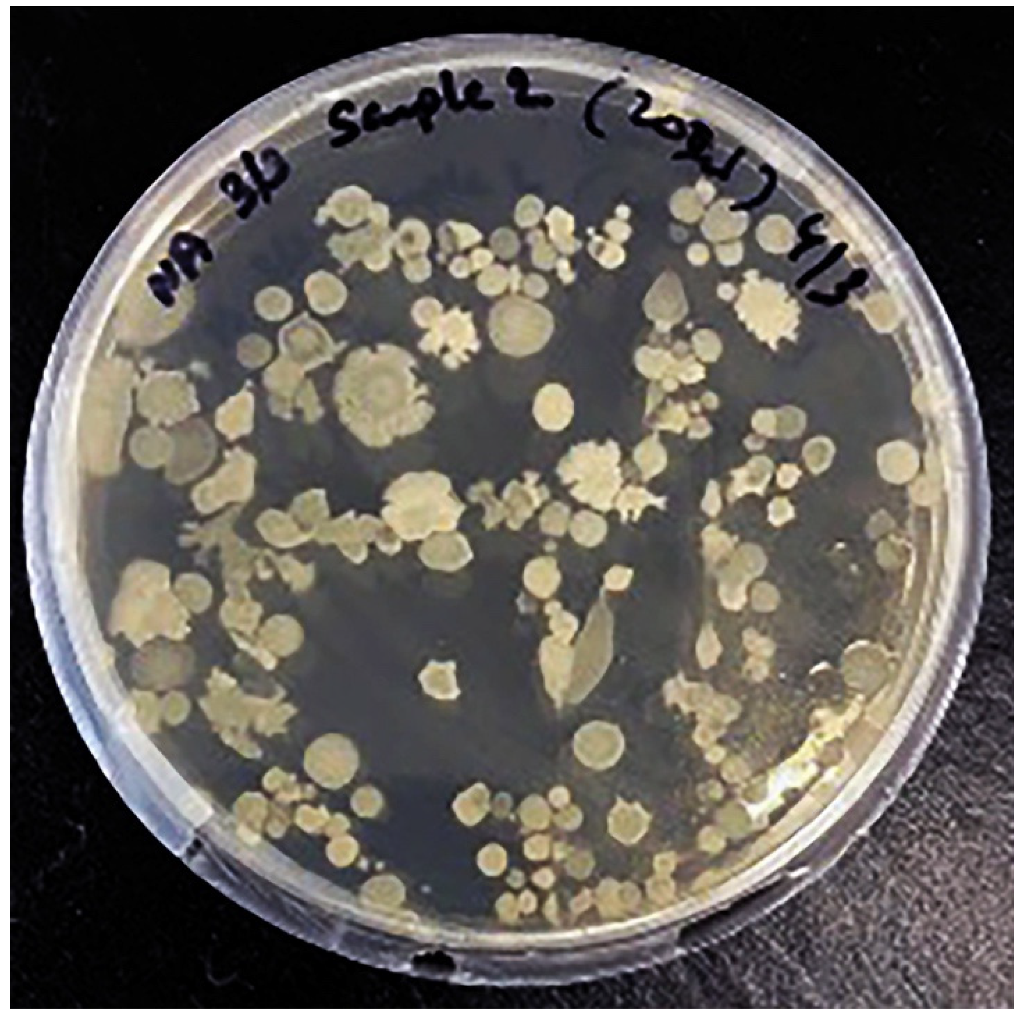 Nutrients 13 04446 g007