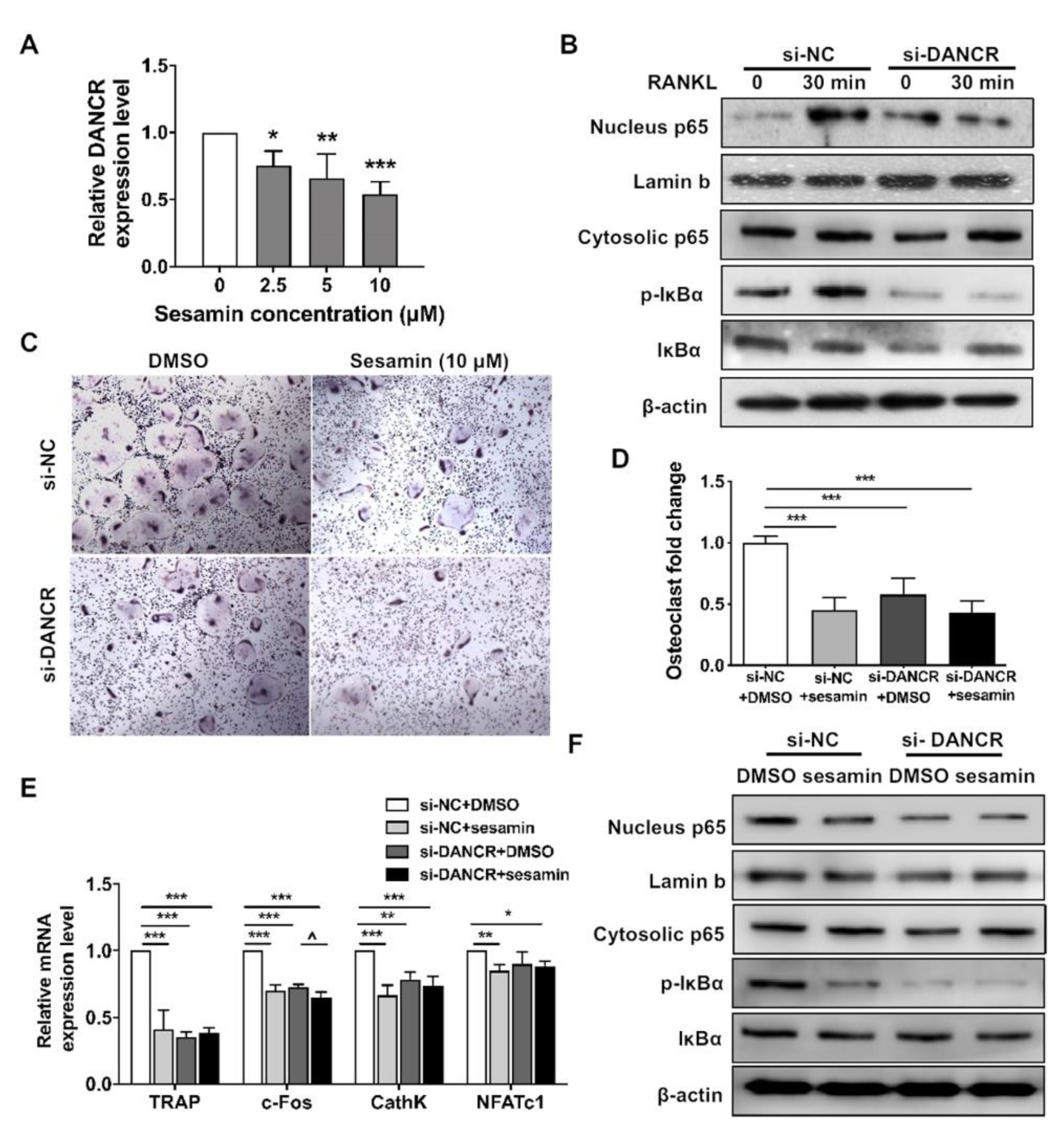 Nutrients 13 04455 g005