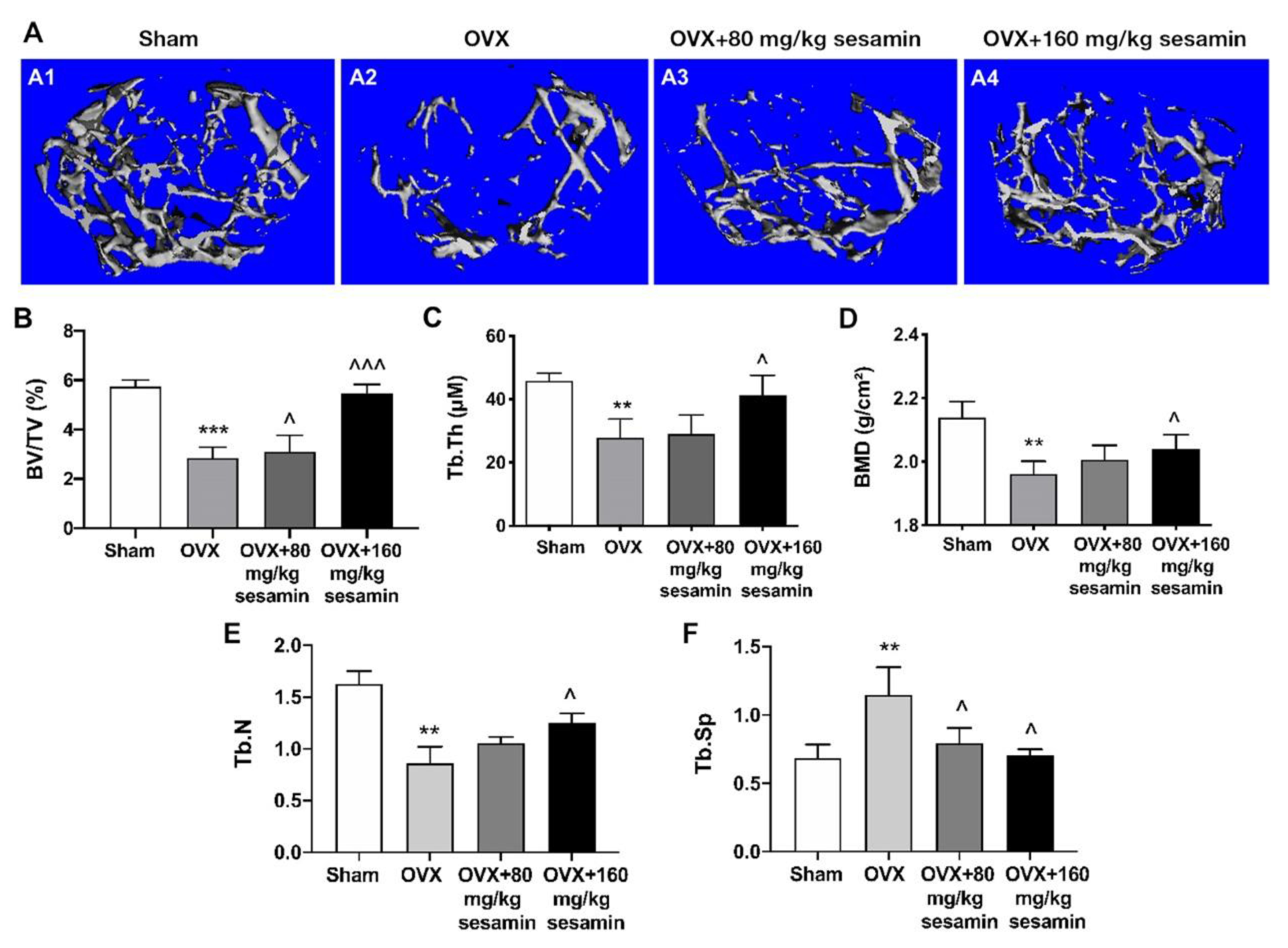 Nutrients 13 04455 g006