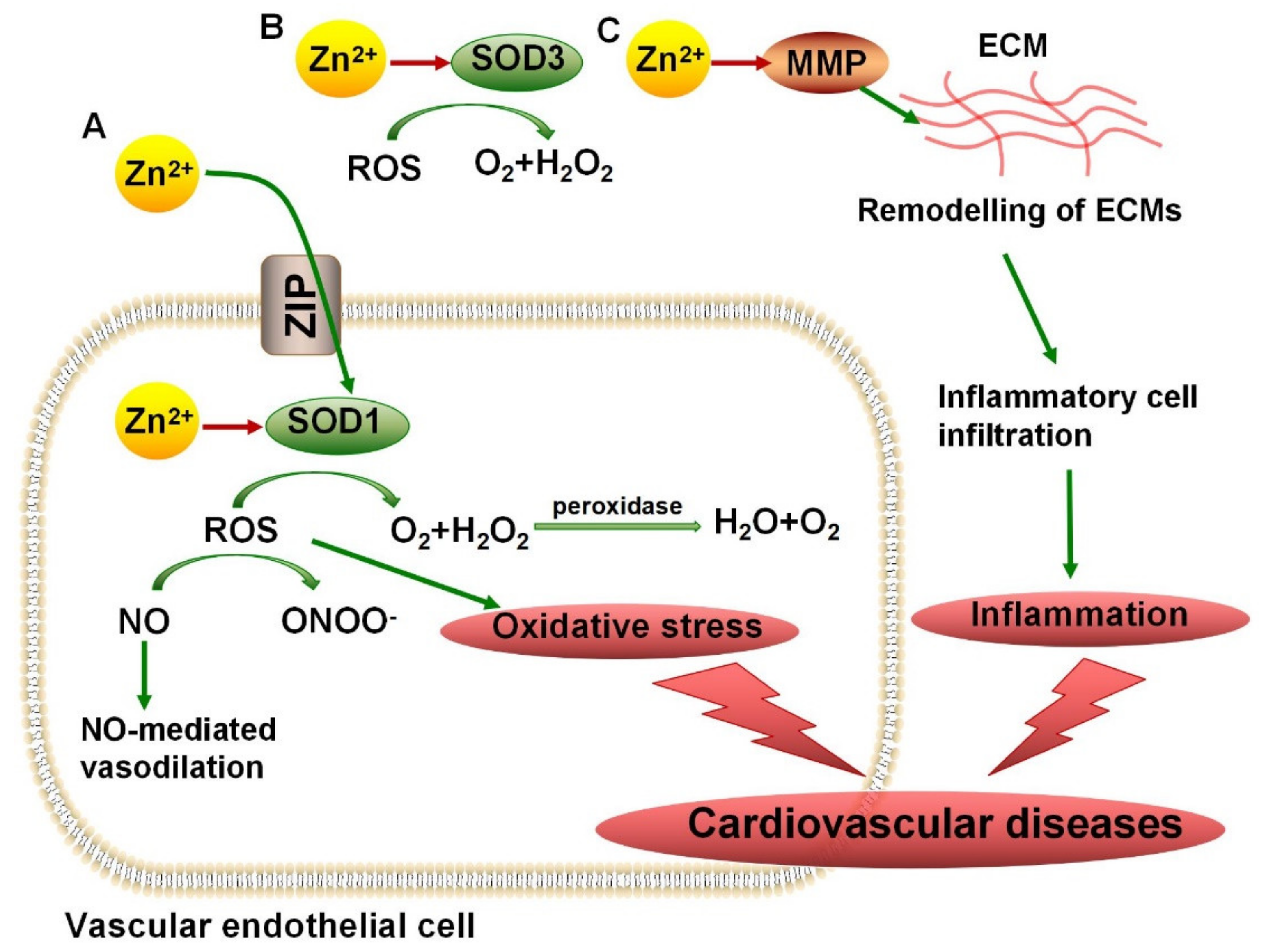 Nutrients 13 04456 g002