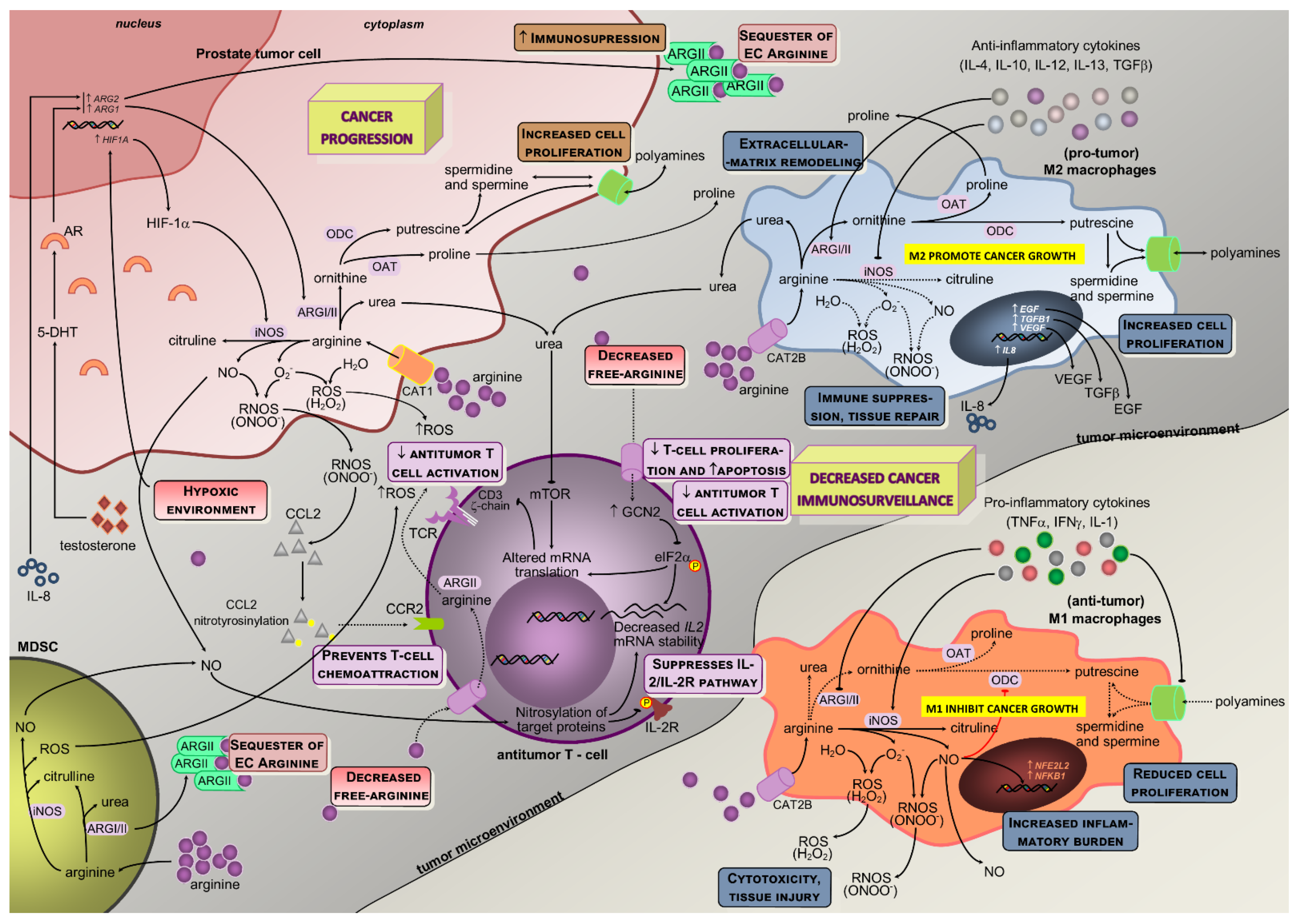 Nutrients 13 04503 g002