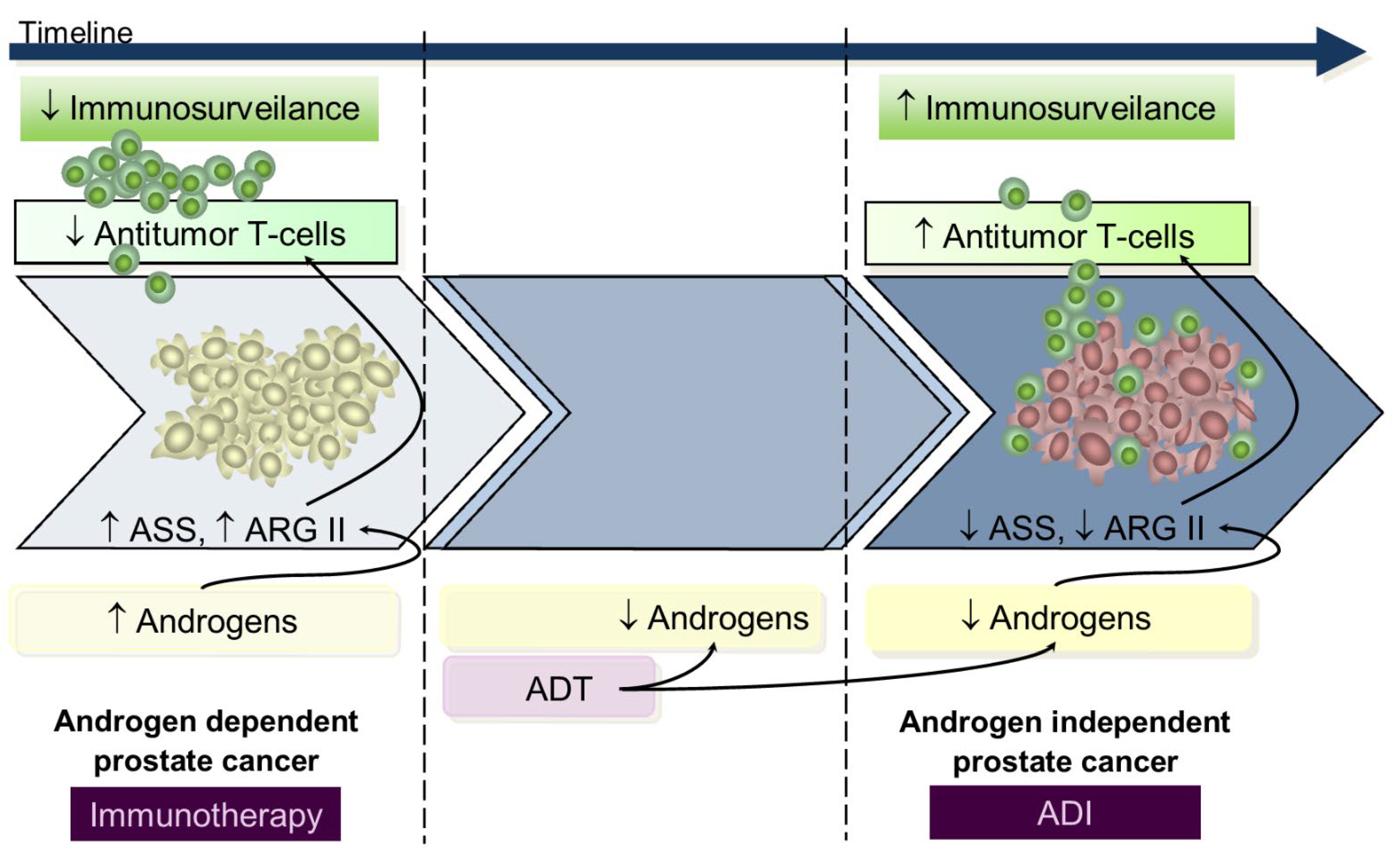 Nutrients 13 04503 g003