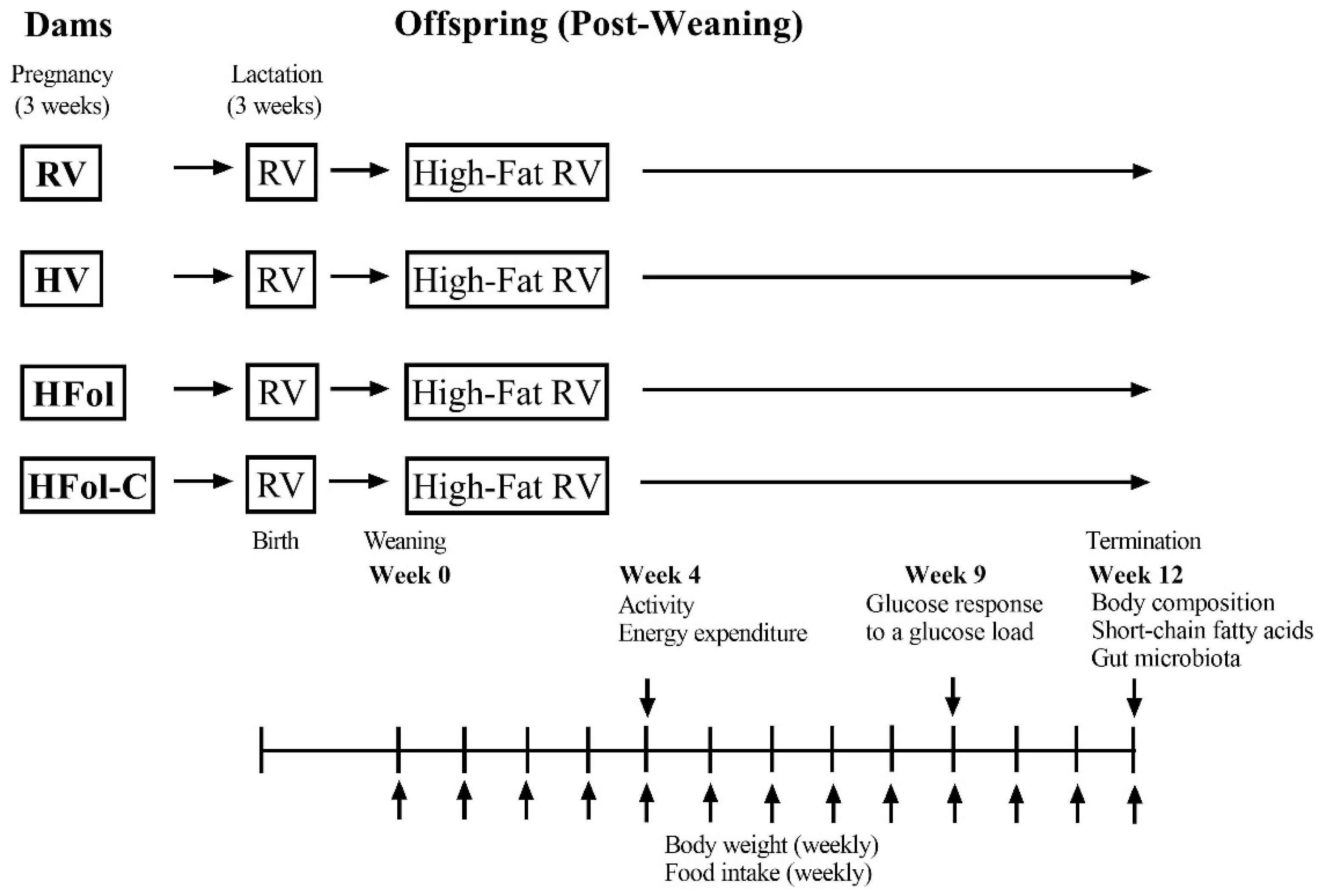 Nutrients 13 04510 g001