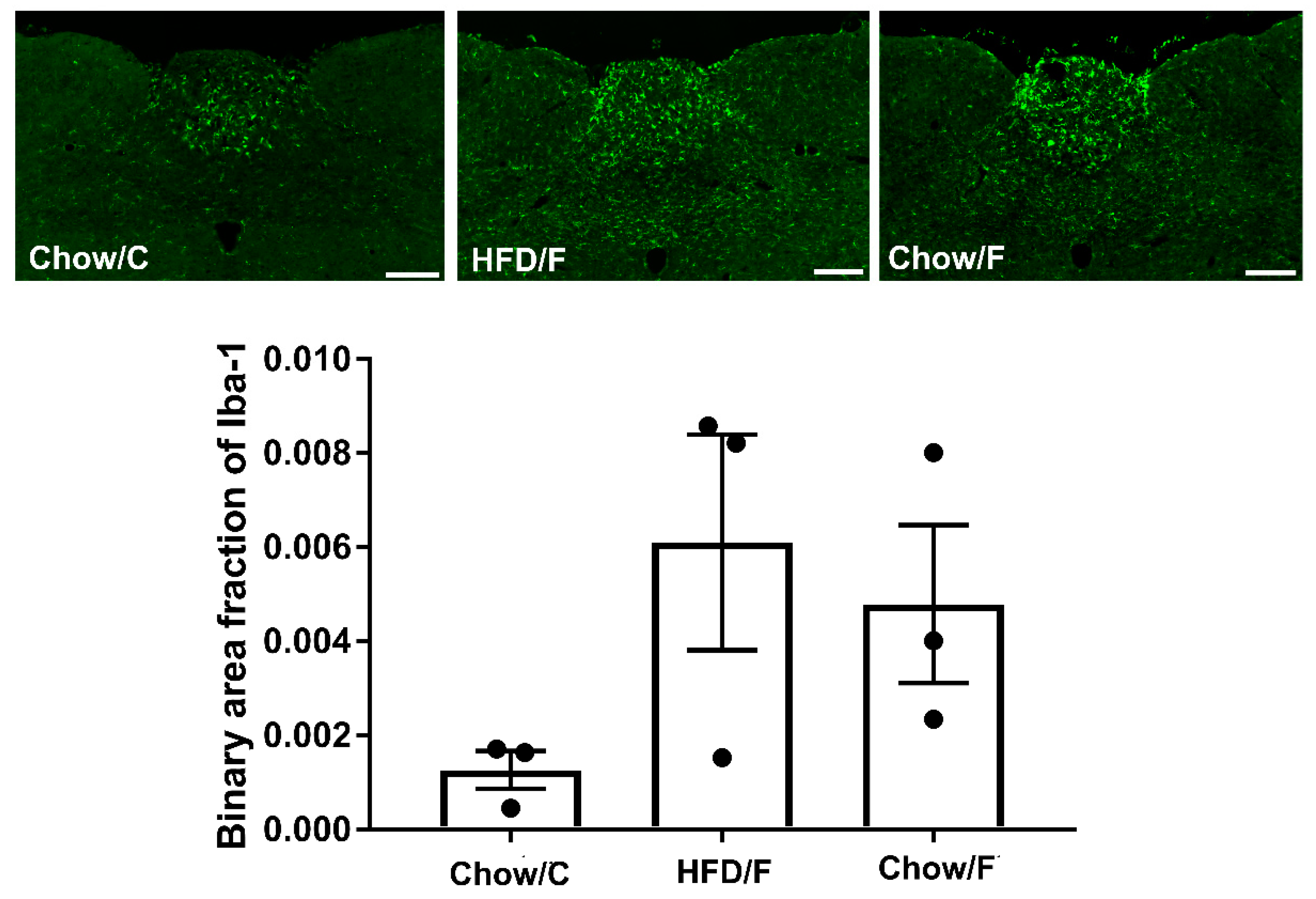 Nutrients 13 04515 g007