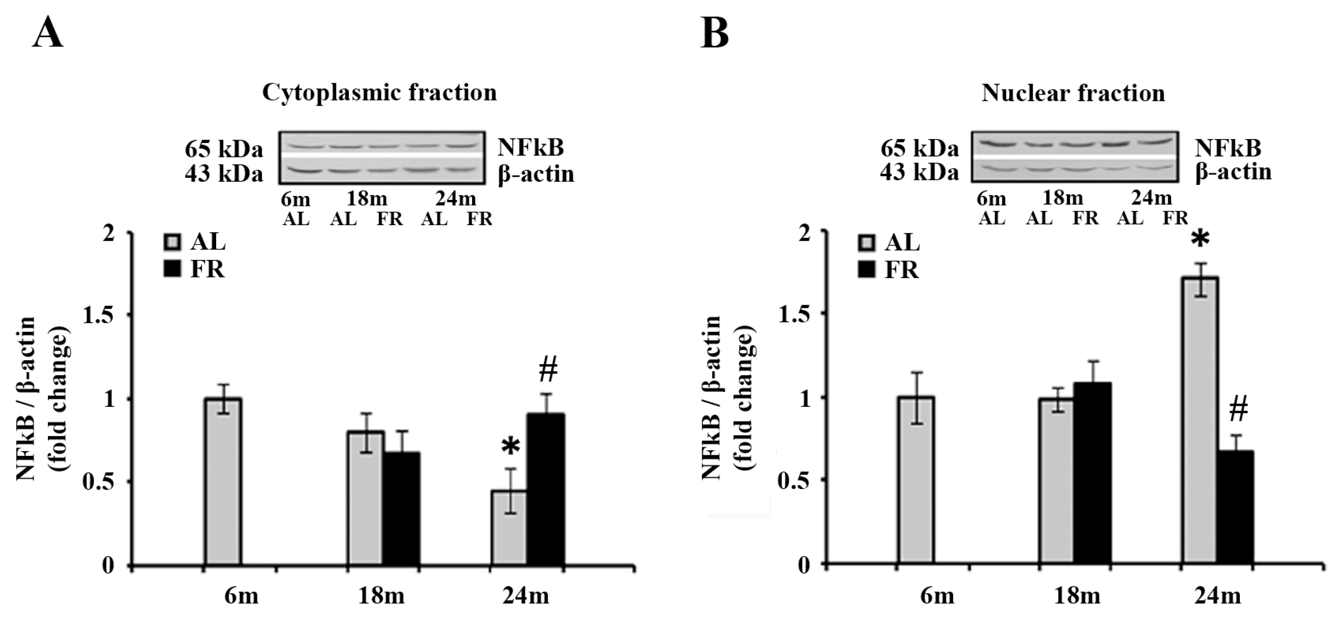 Nutrients 13 04526 g005