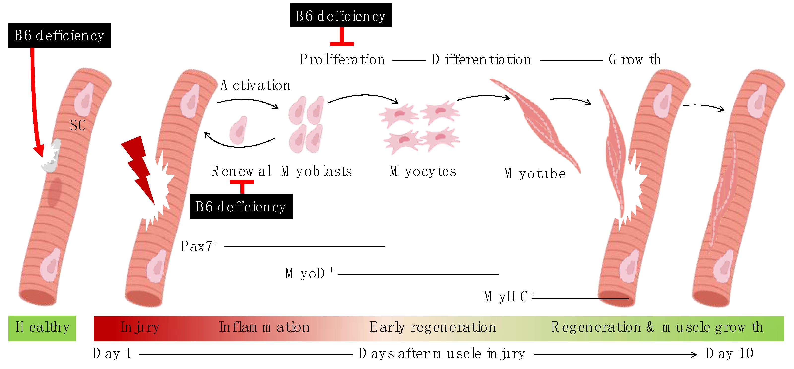 Nutrients 13 04531 g006