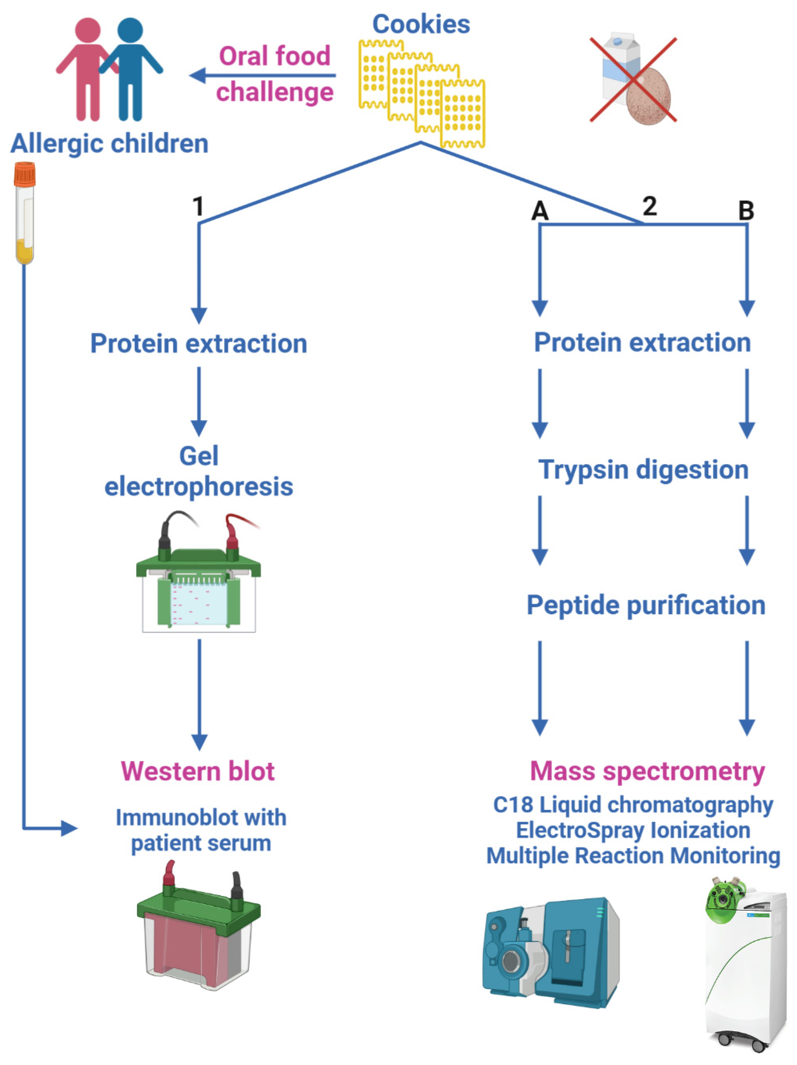Nutrients 13 04540 g001