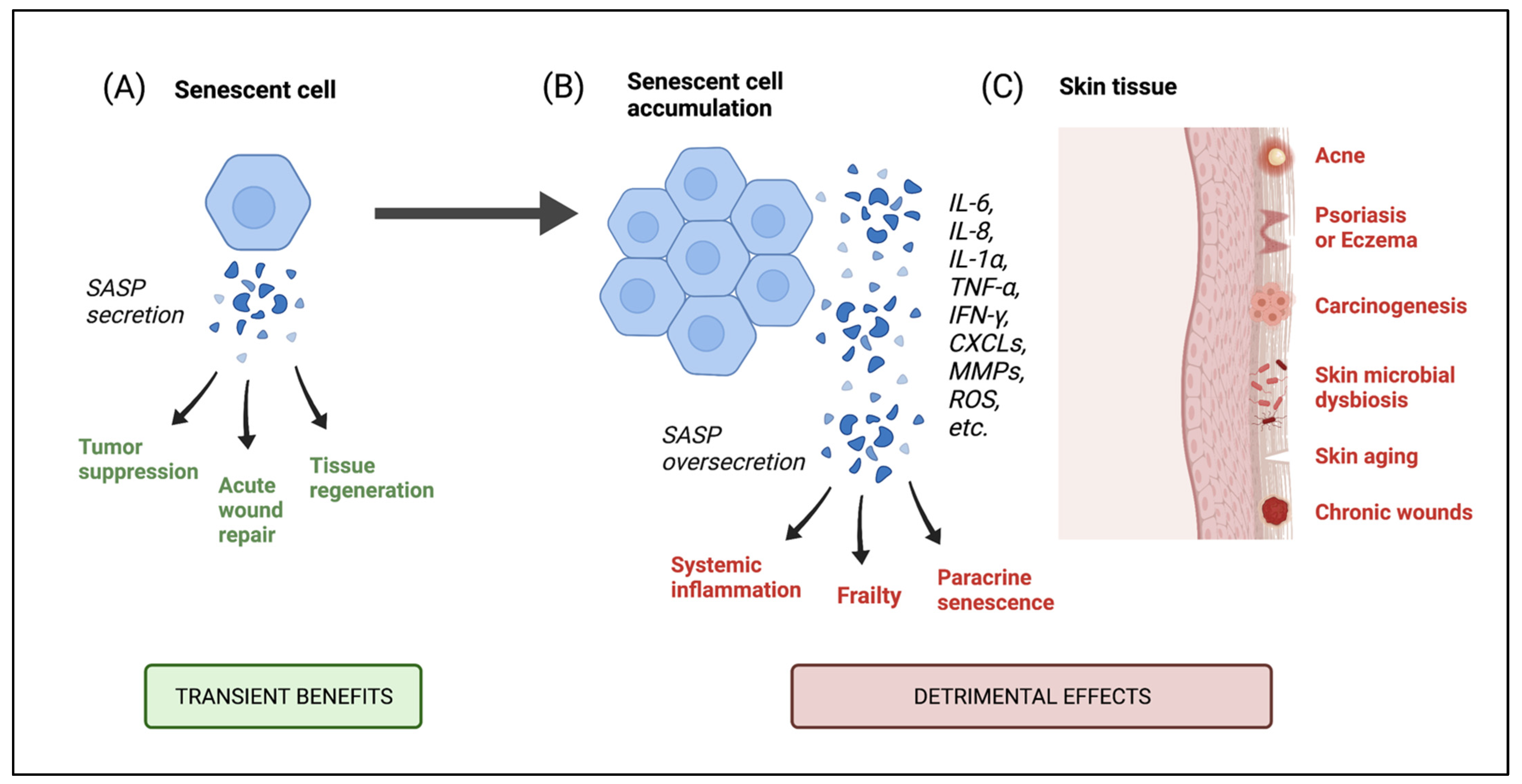 Nutrients 13 04550 g002