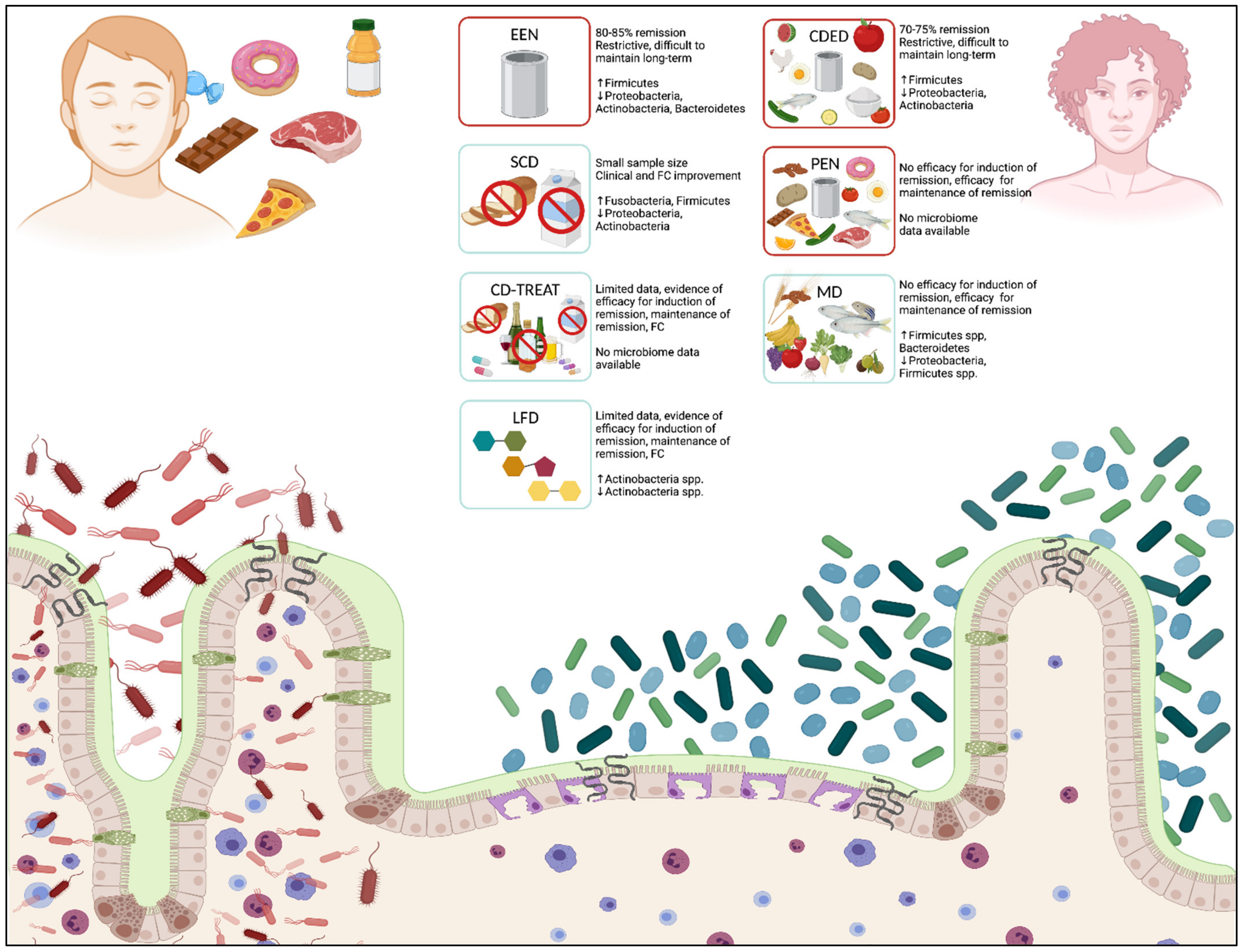 Nutrients 14 00004 g001 Nutrients 14 00004 g001
