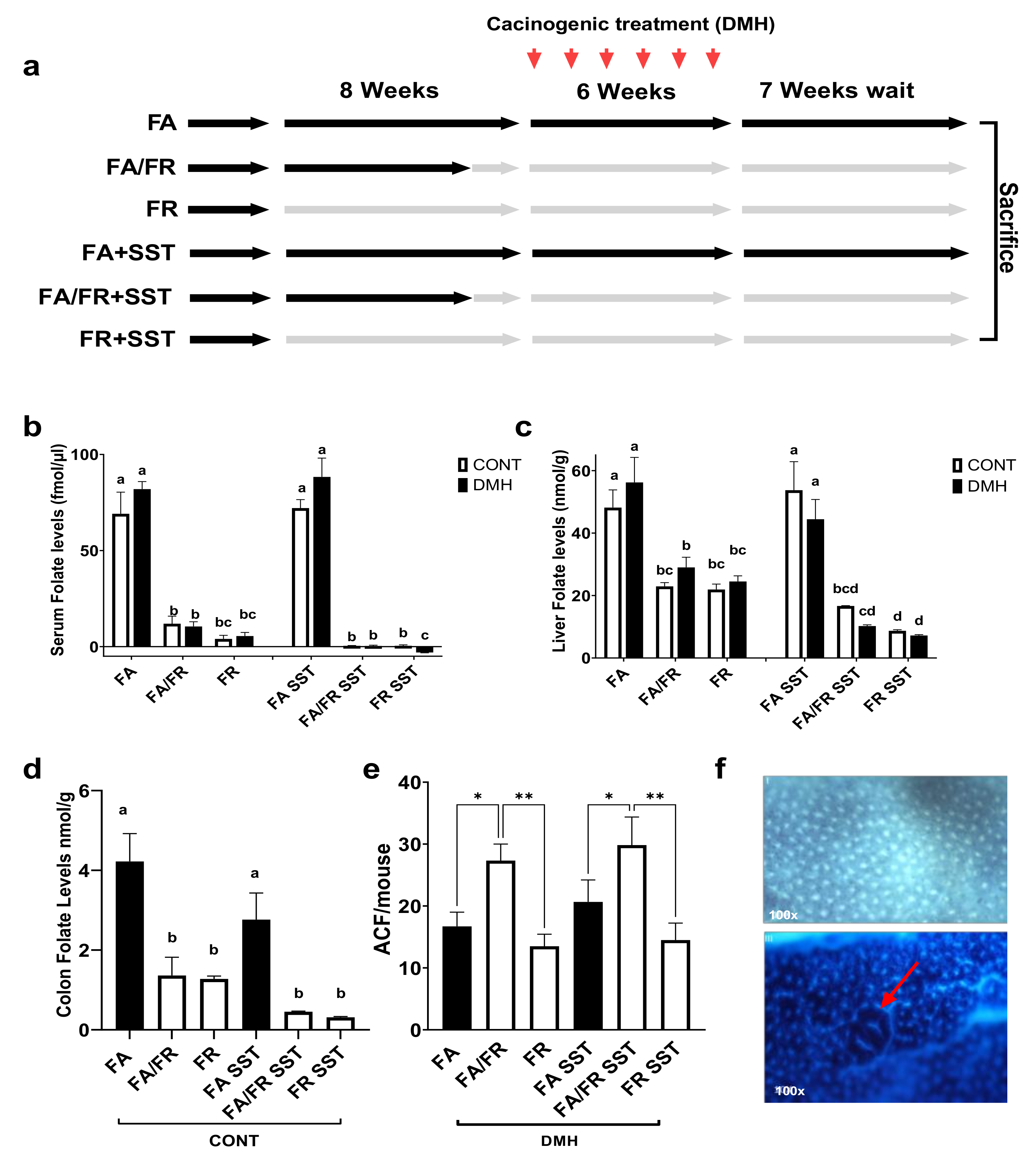 Nutrients 14 00016 g001 Nutrients 14 00016 g001
