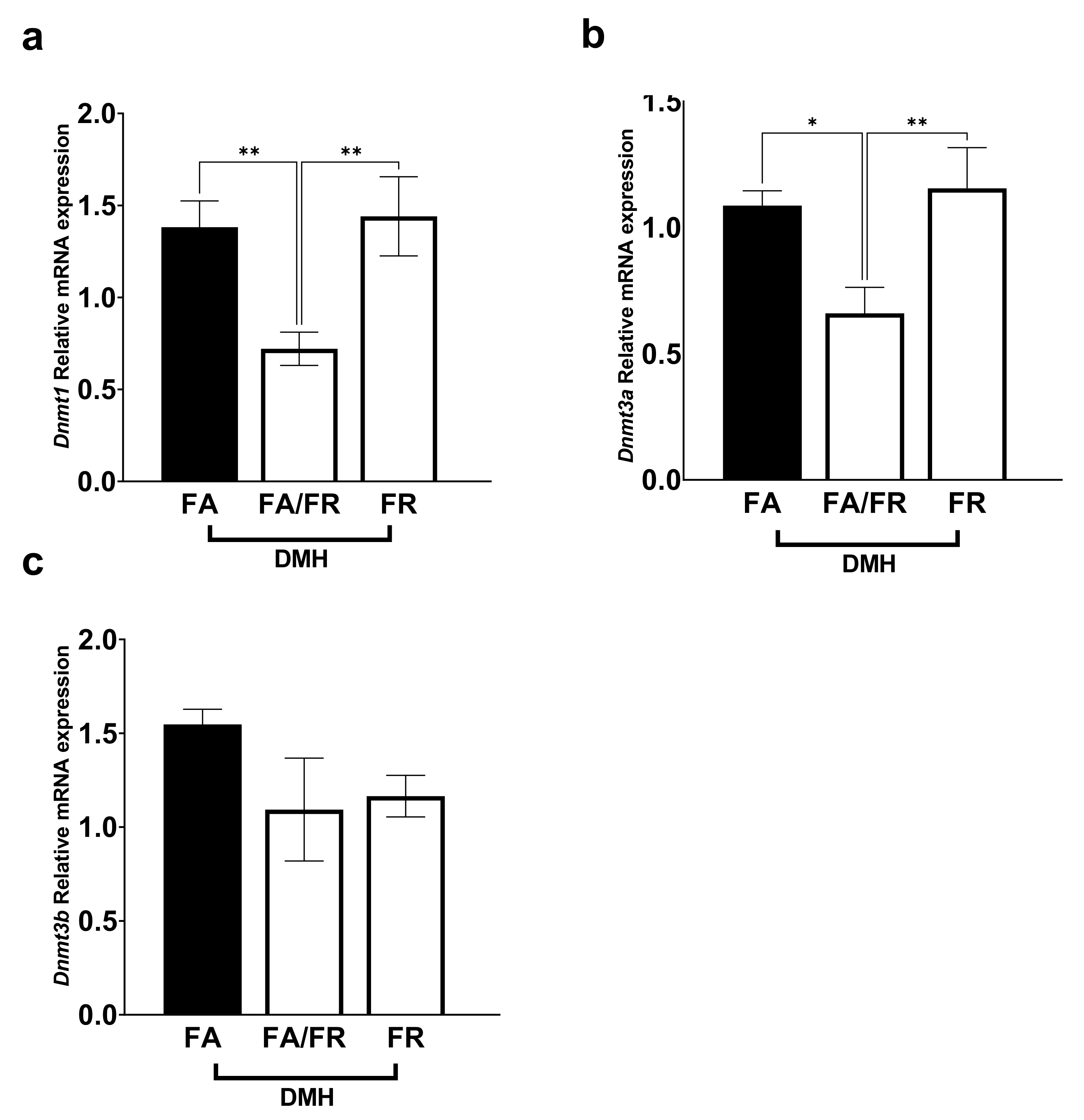 Nutrients 14 00016 g004 Nutrients 14 00016 g004