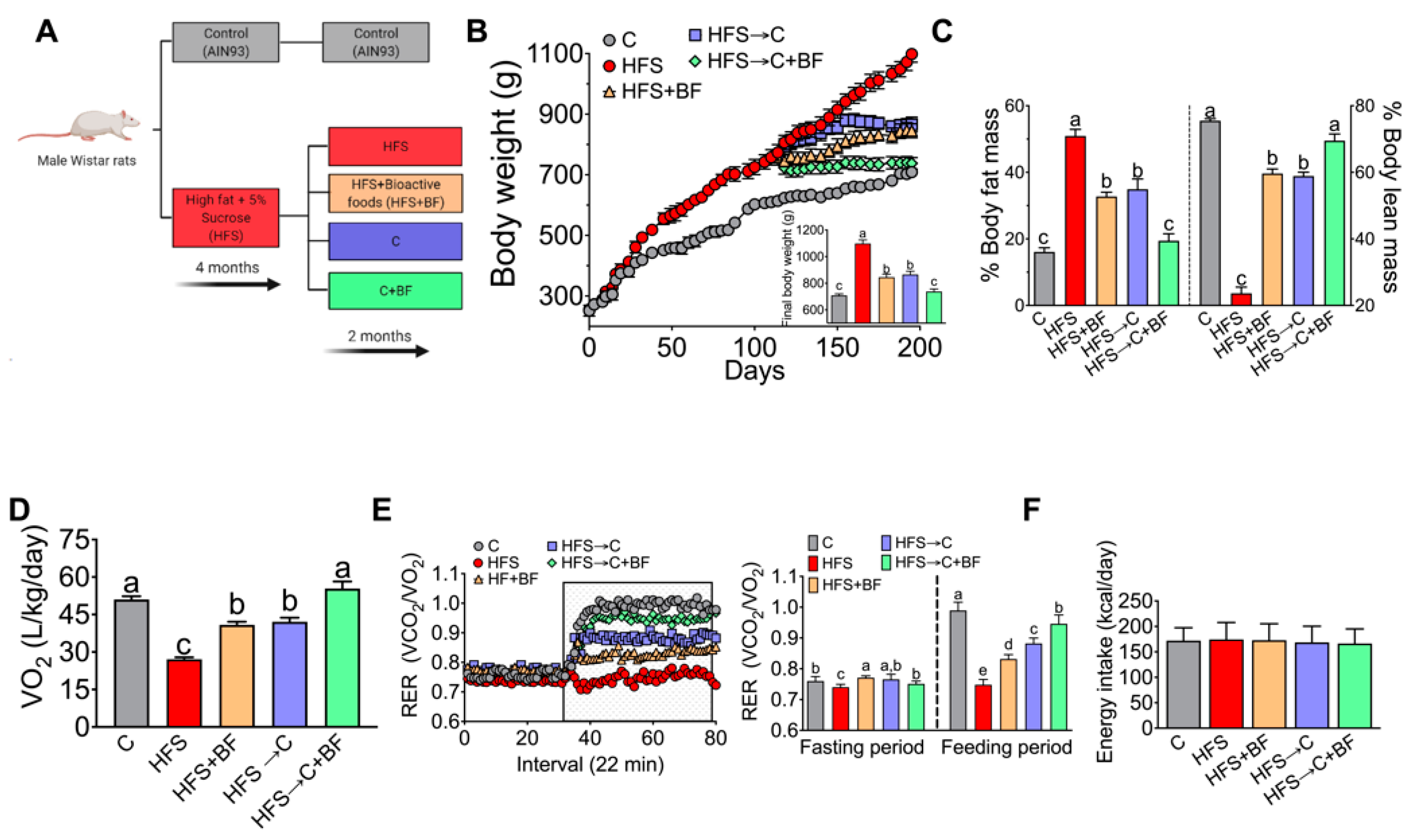 Nutrients 14 00022 g001