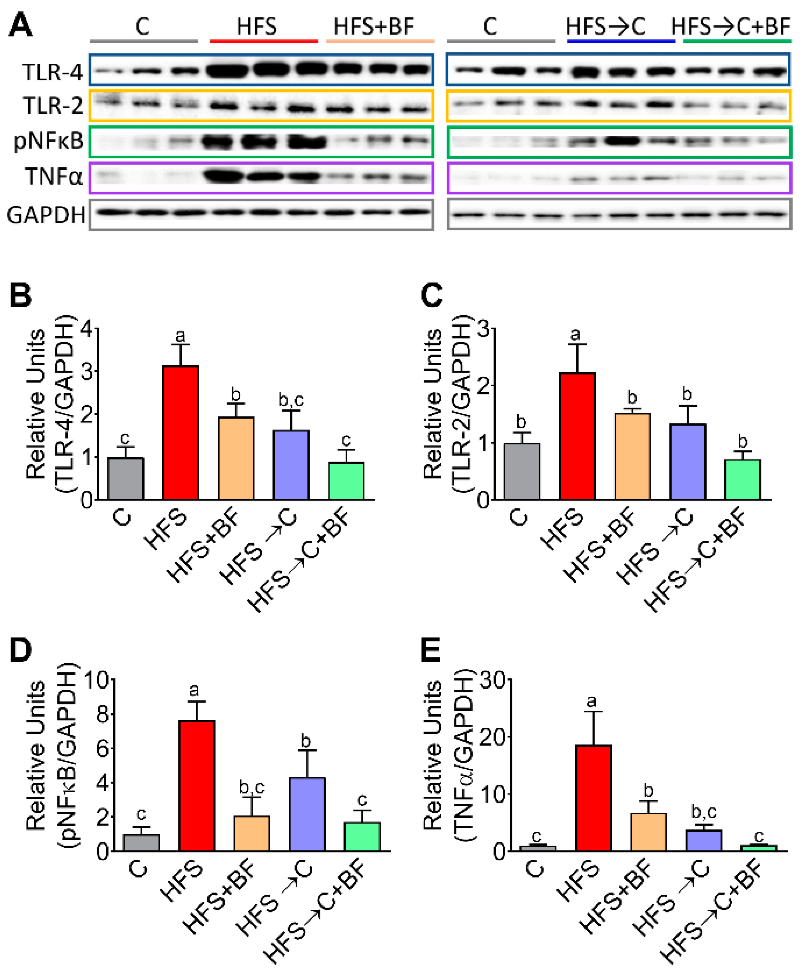 Nutrients 14 00022 g005