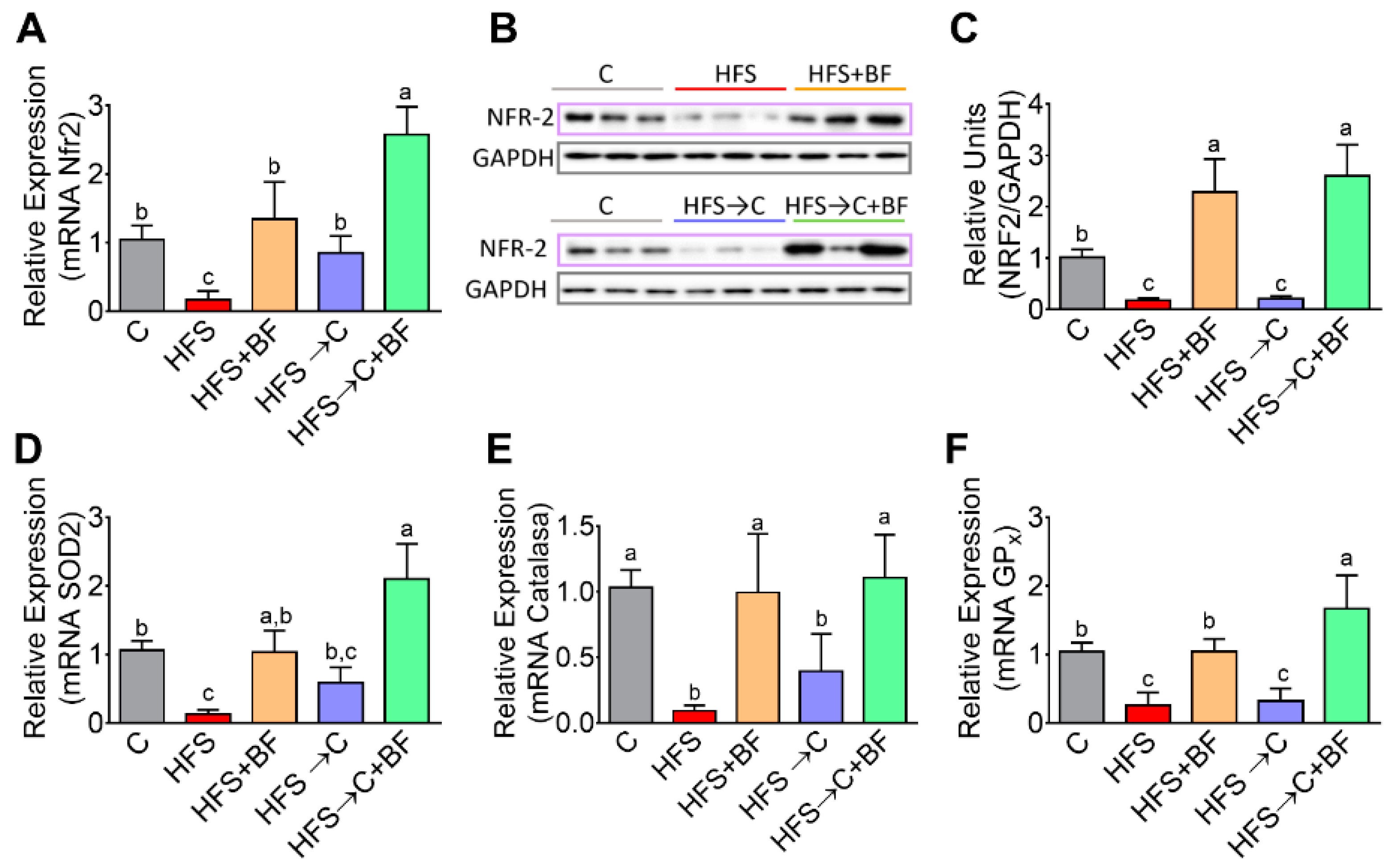 Nutrients 14 00022 g007
