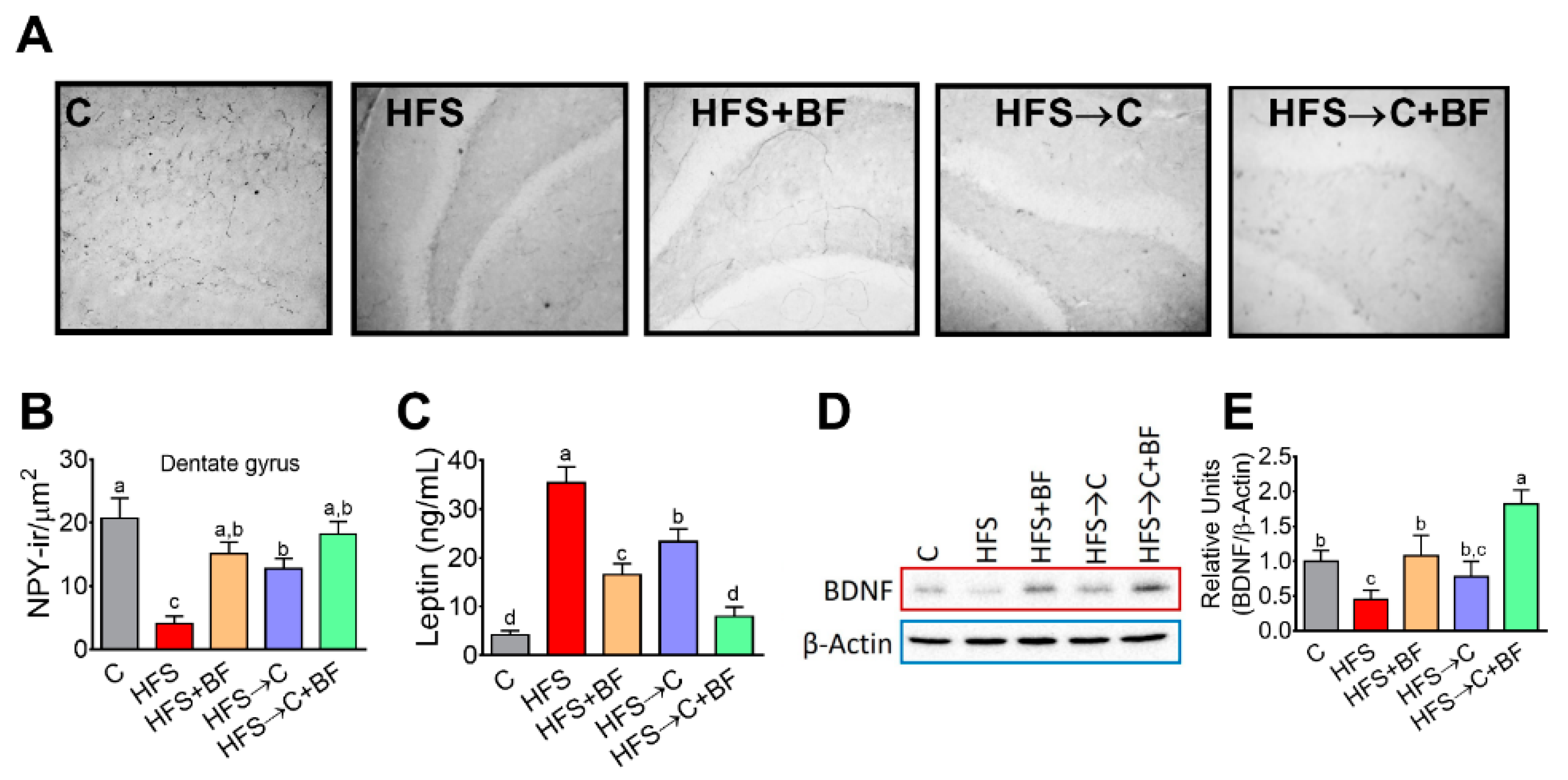 Nutrients 14 00022 g009