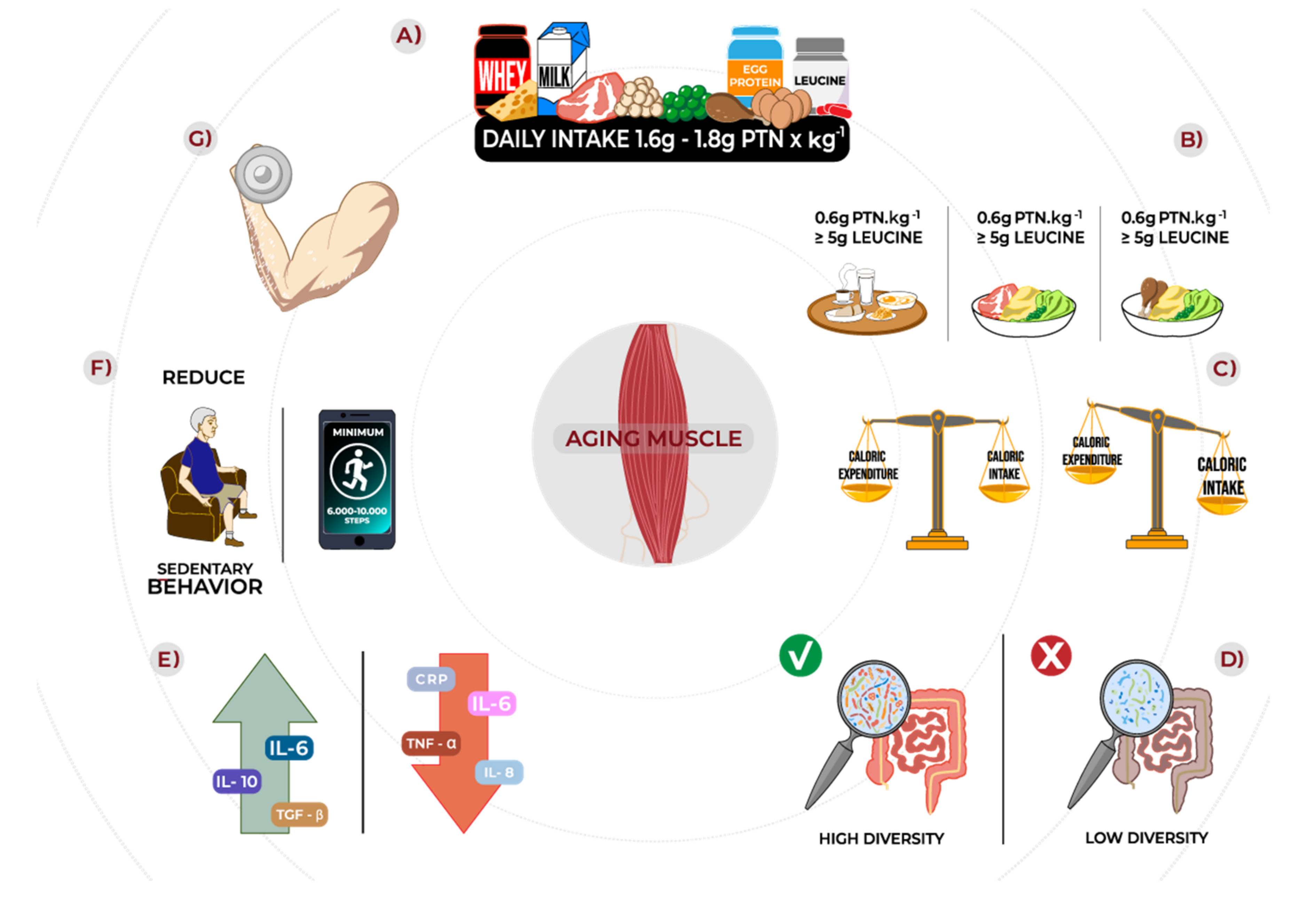 Nutrients 14 00052 g001