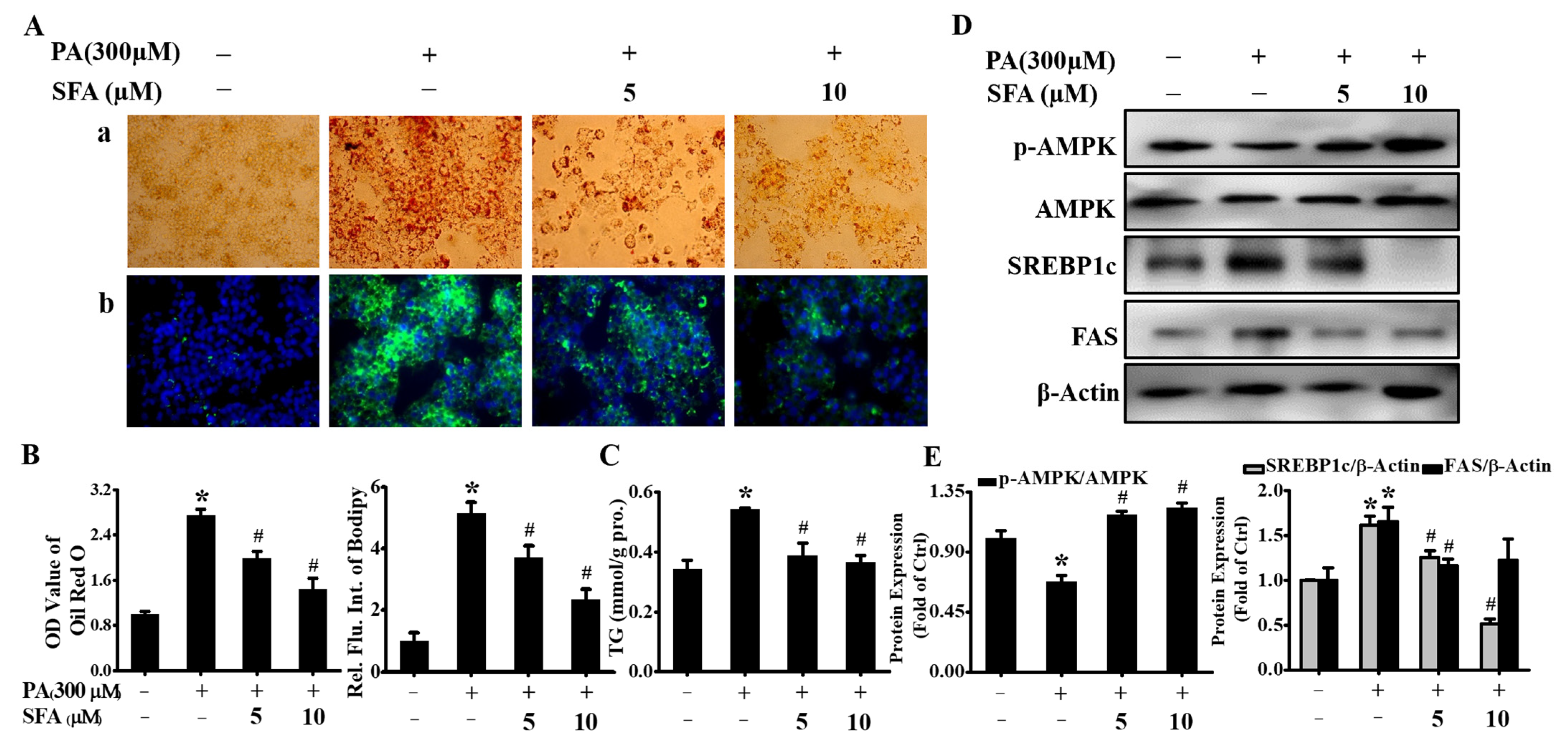 Nutrients 14 00076 g002