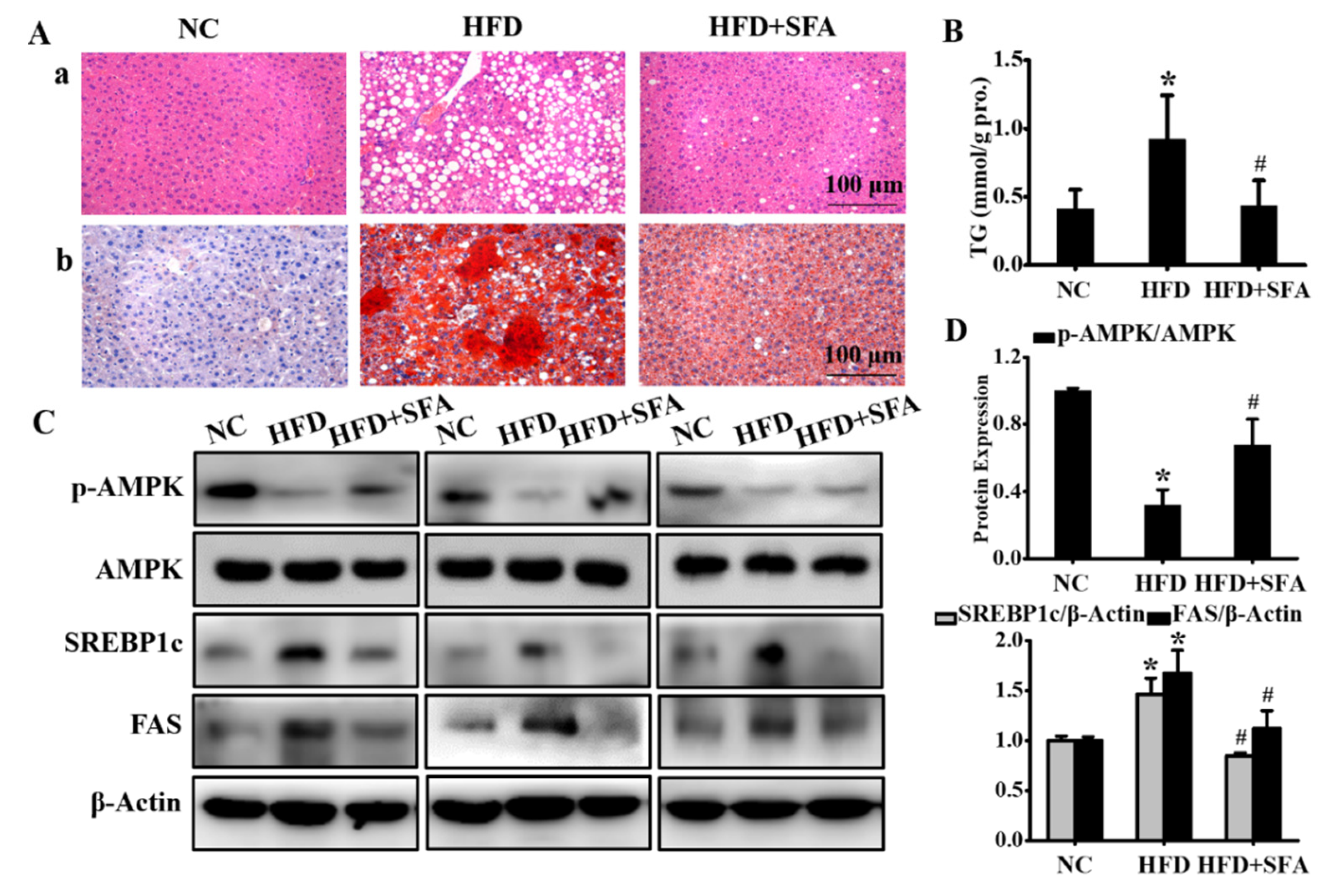 Nutrients 14 00076 g005