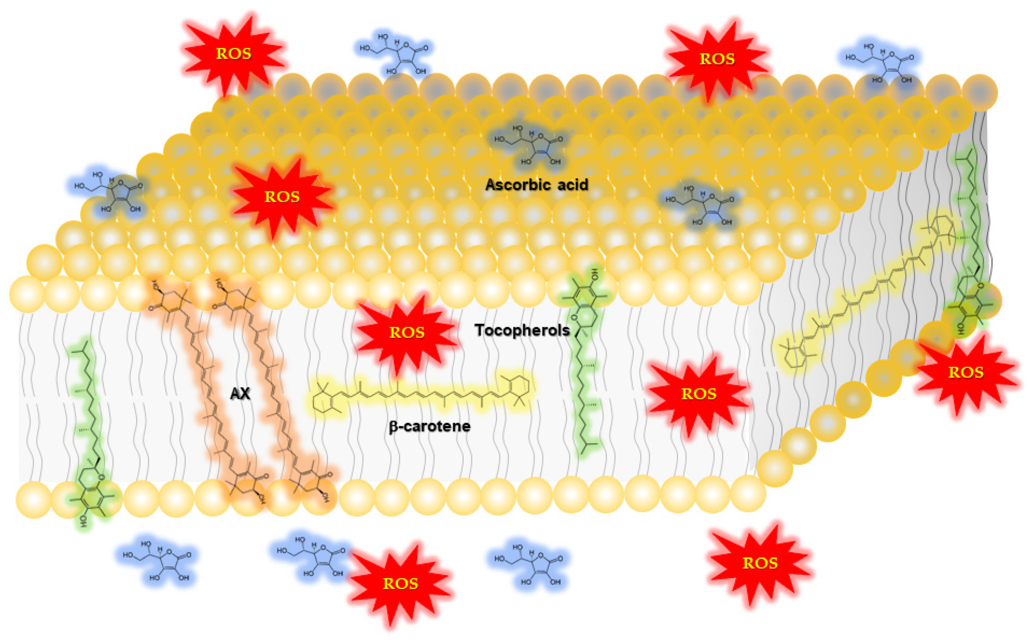Nutrients 14 00107 g002
