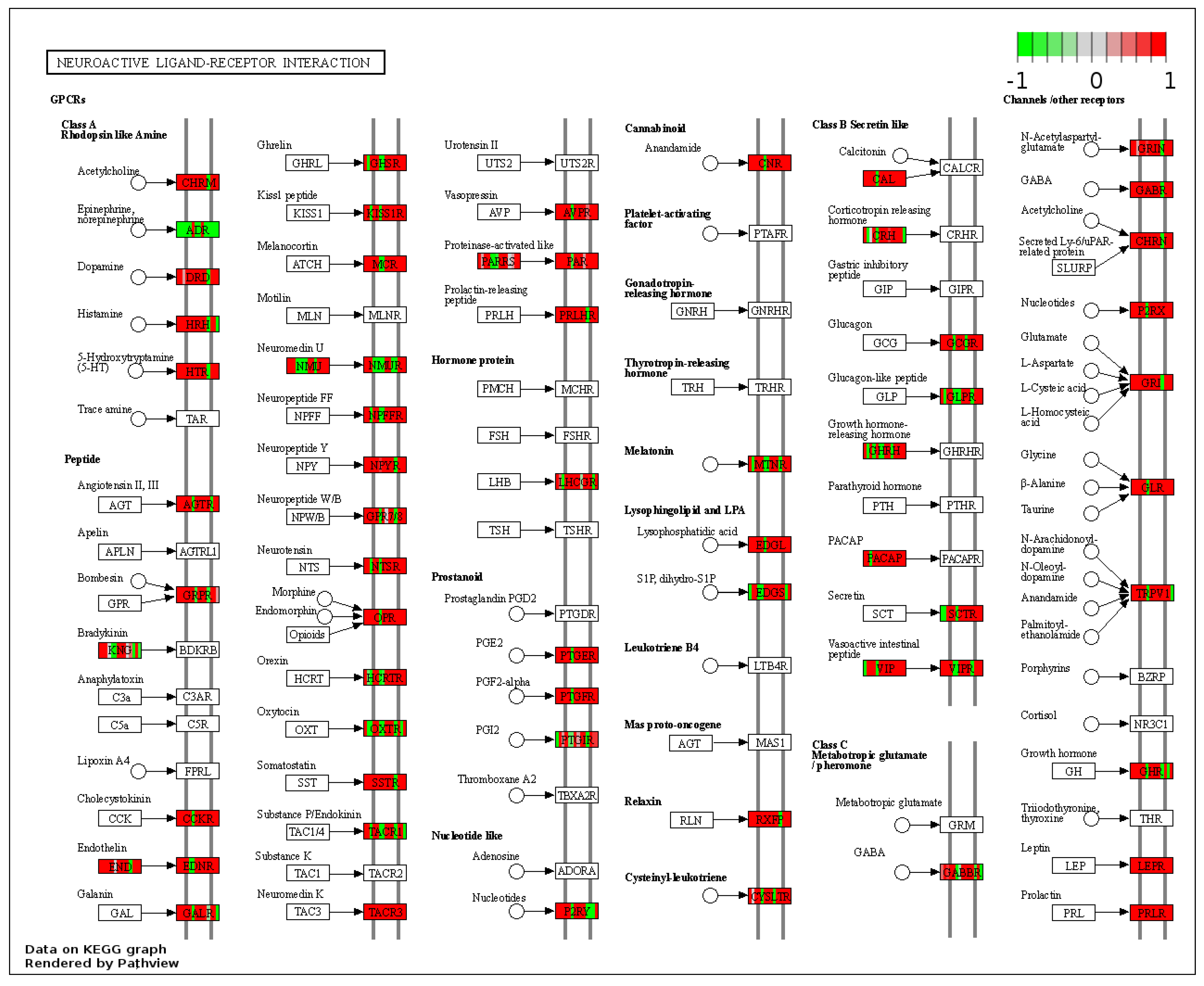 Nutrients 14 00116 g003