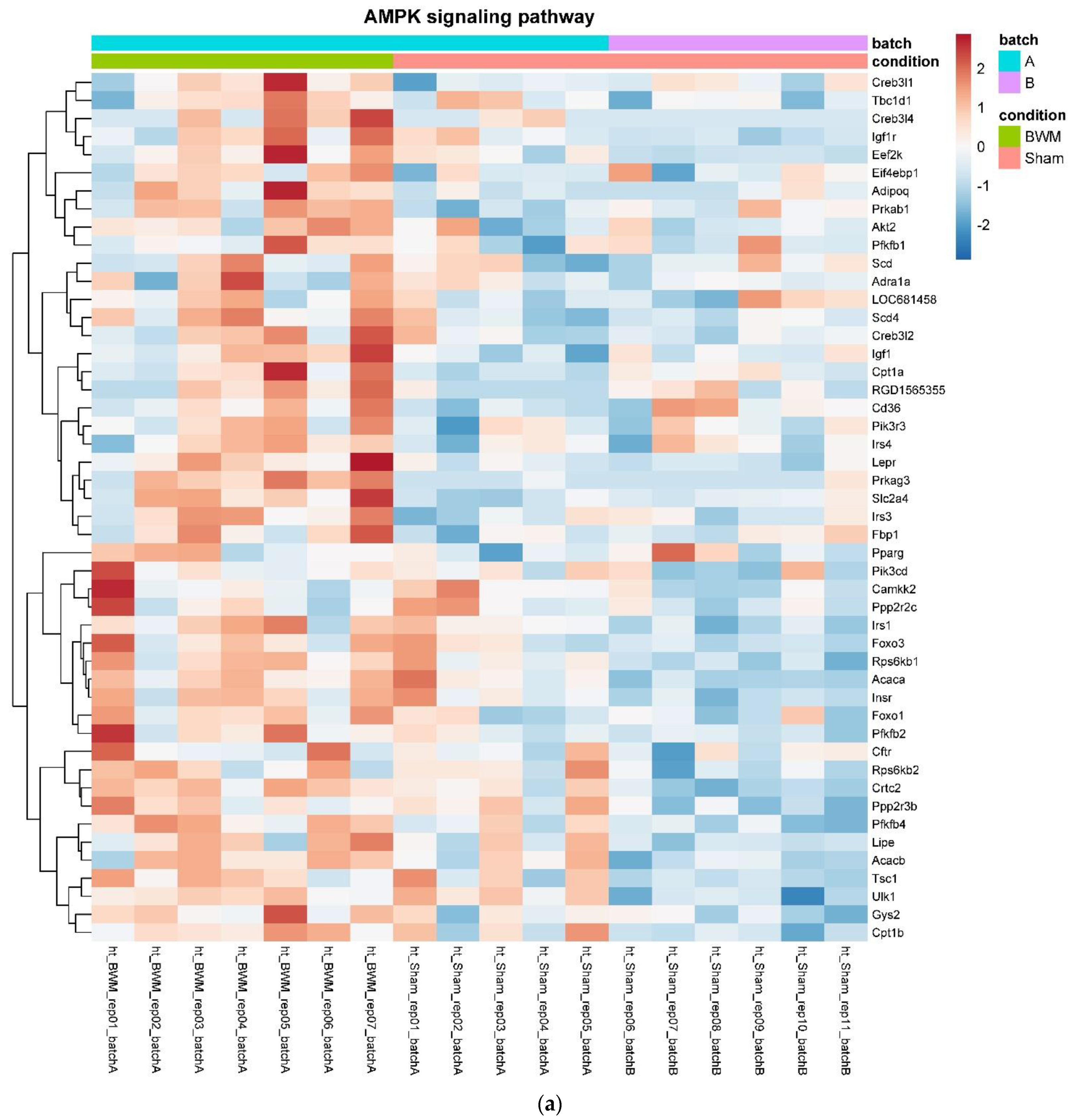 Nutrients 14 00116 g004a
