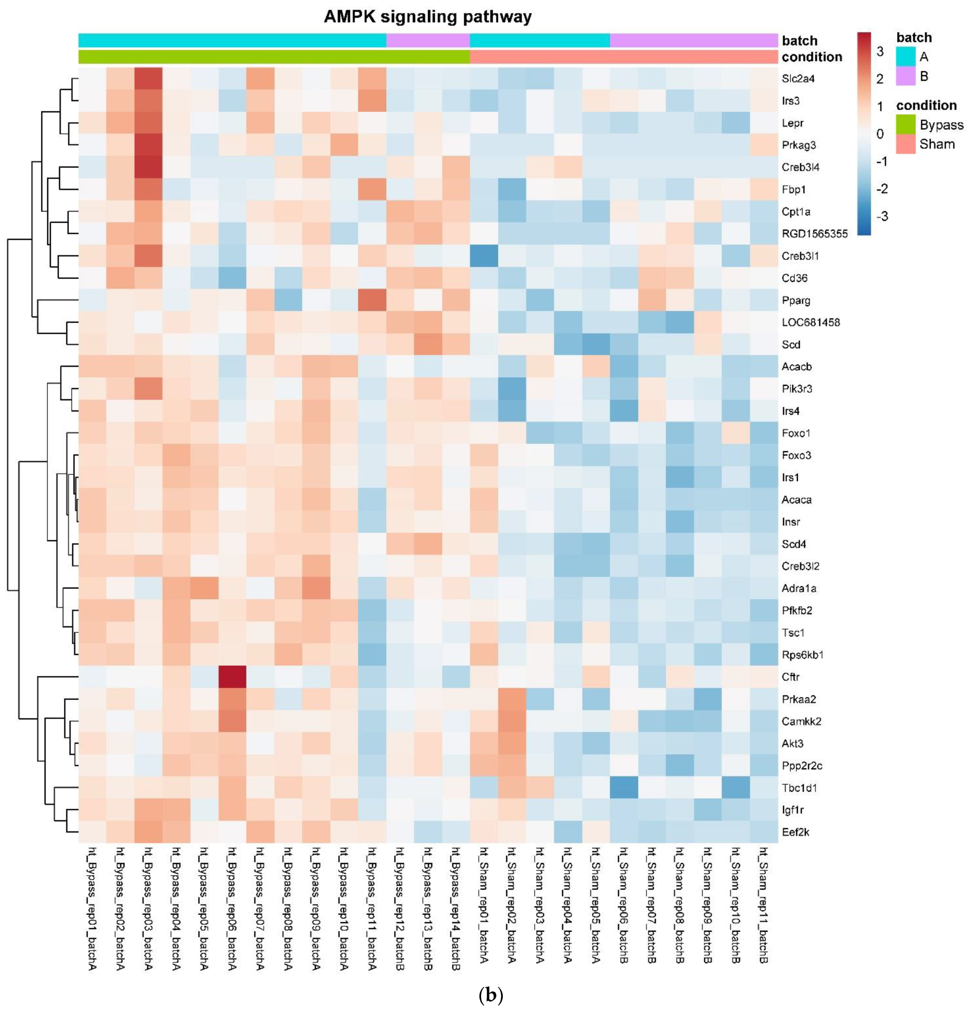 Nutrients 14 00116 g004b