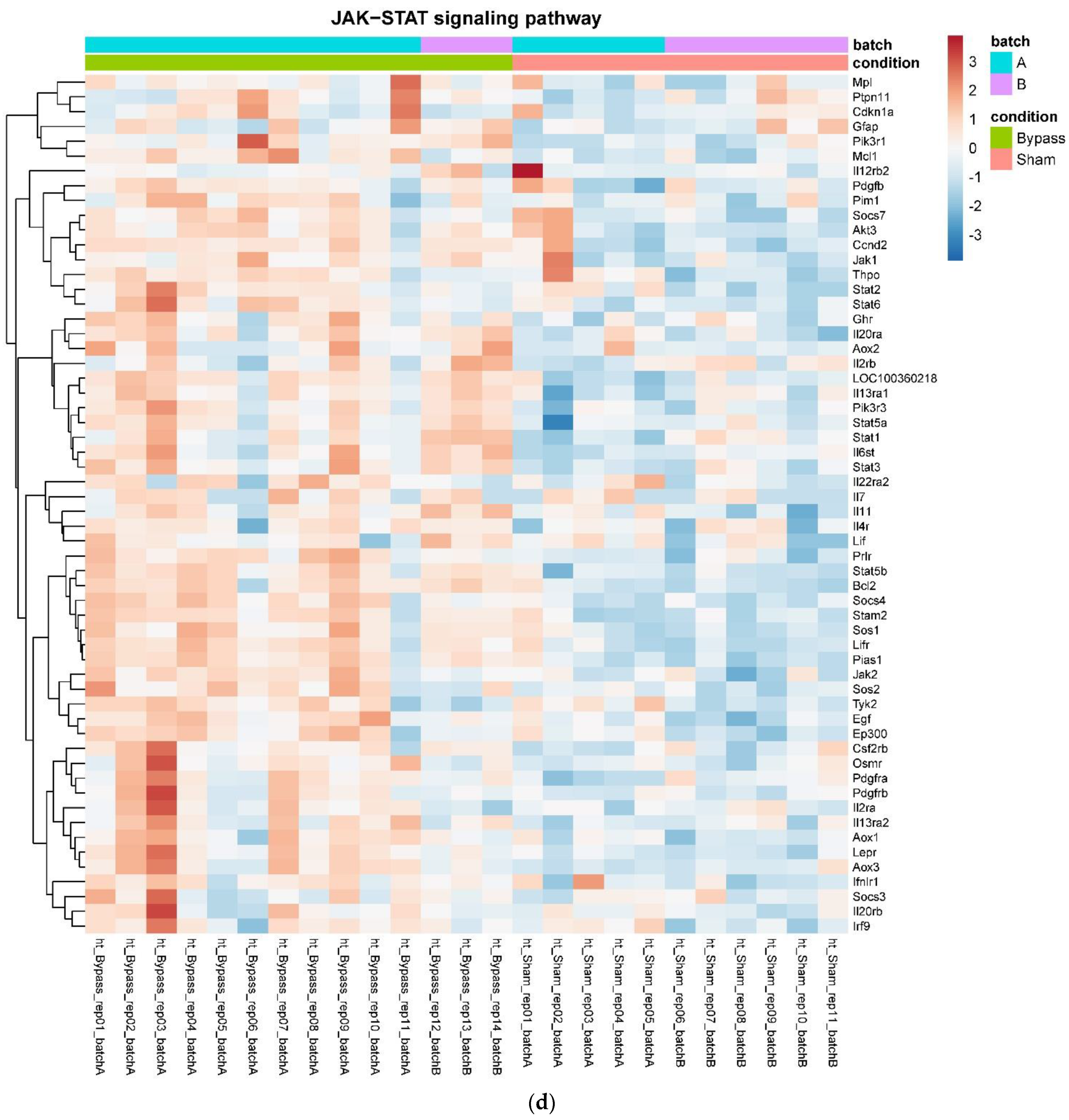 Nutrients 14 00116 g004d