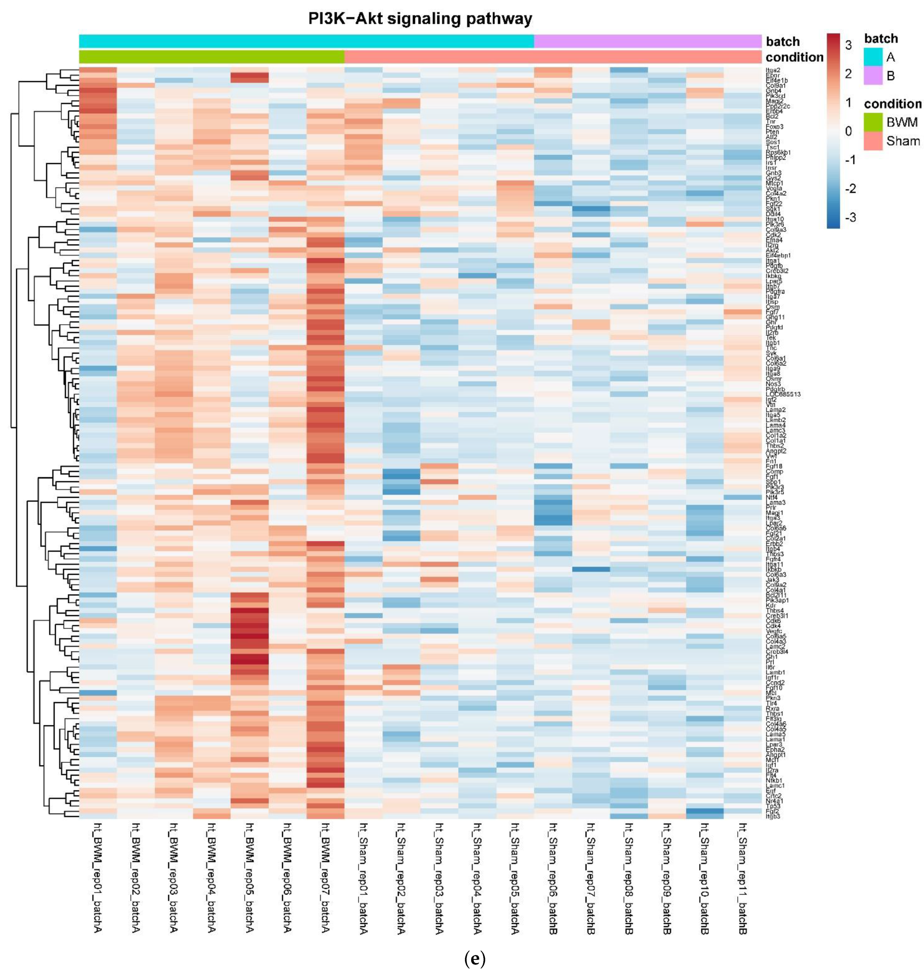 Nutrients 14 00116 g004e