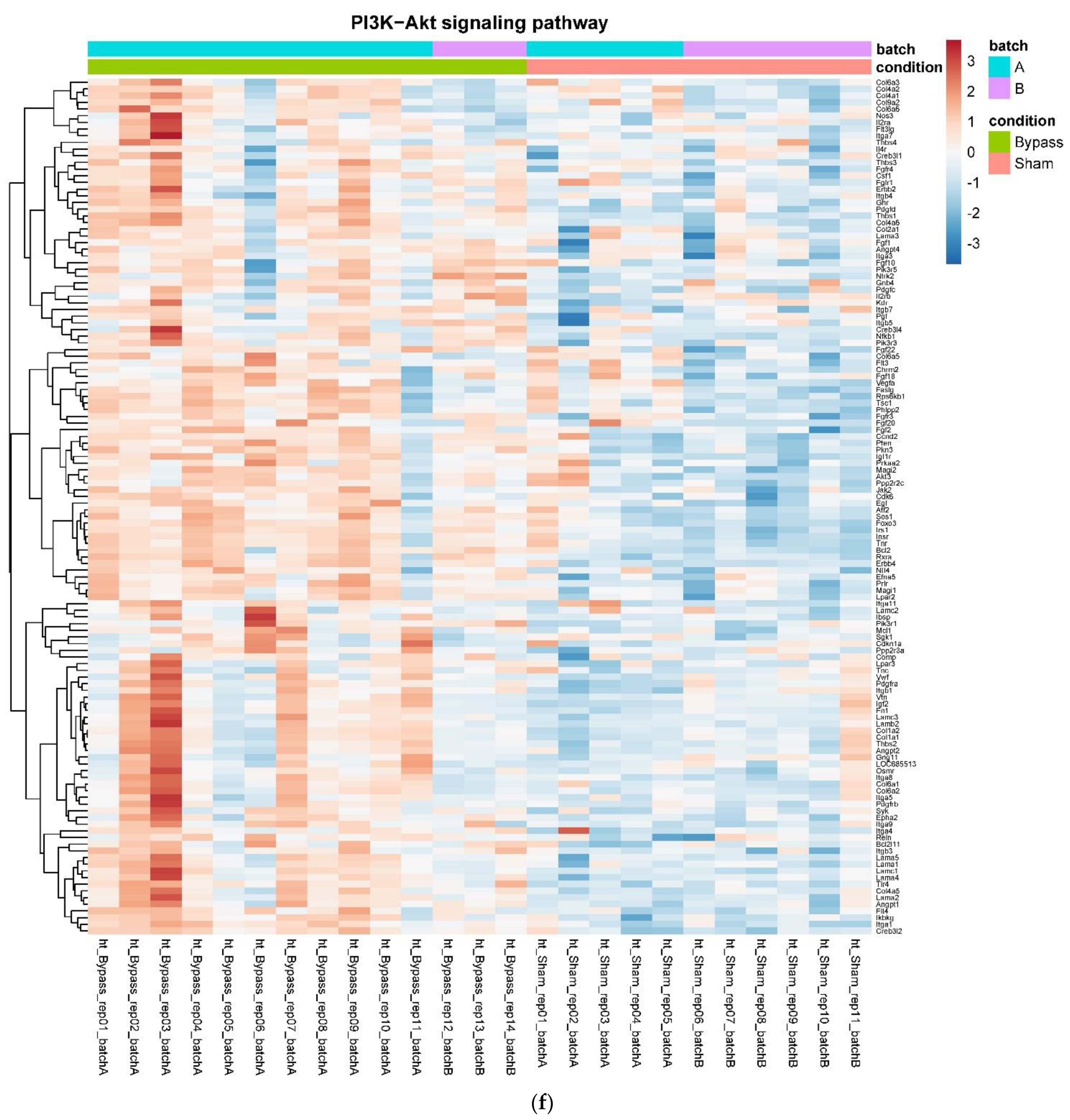 Nutrients 14 00116 g004f