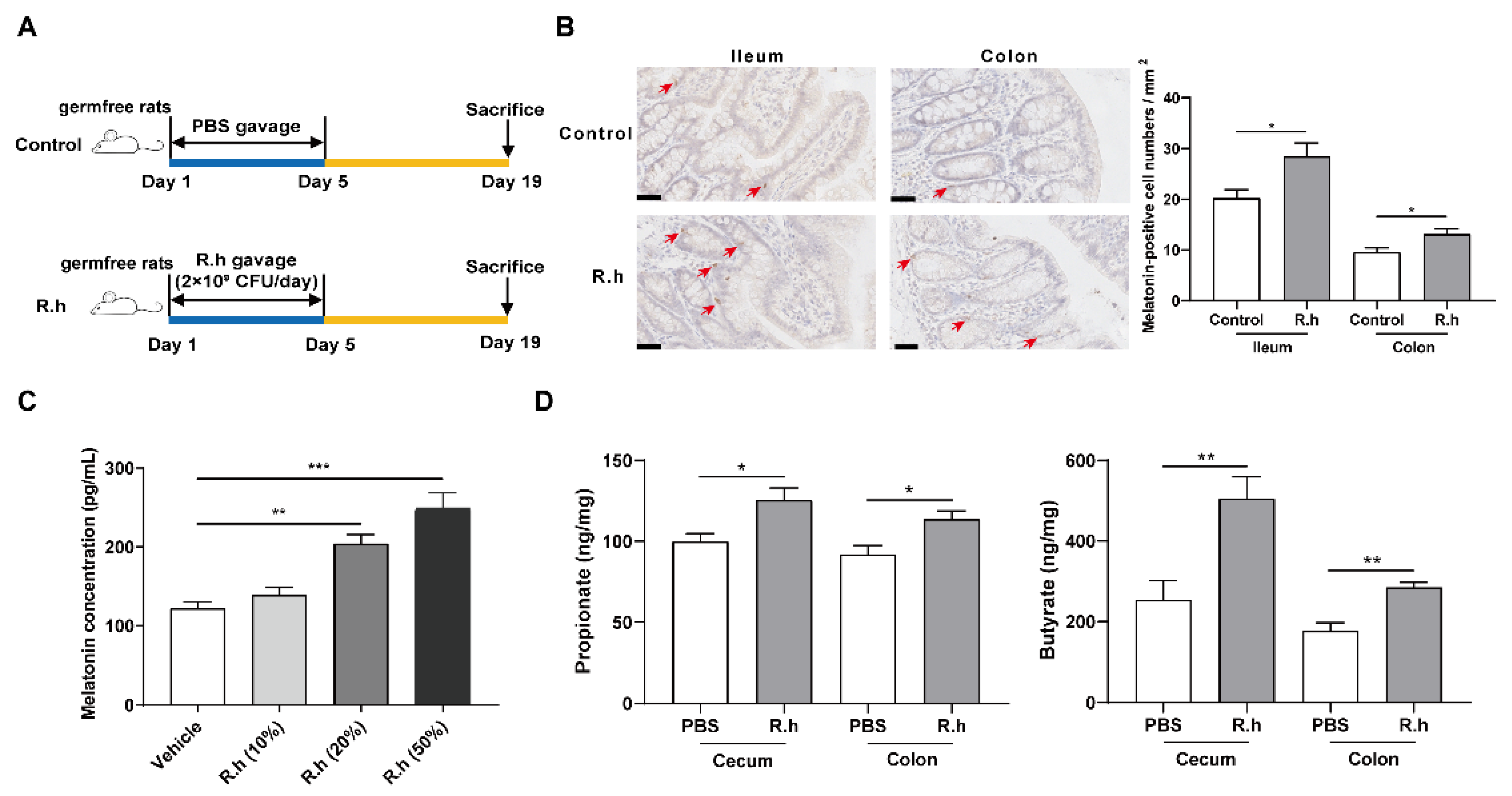 Nutrients 14 00117 g001 Nutrients 14 00117 g001