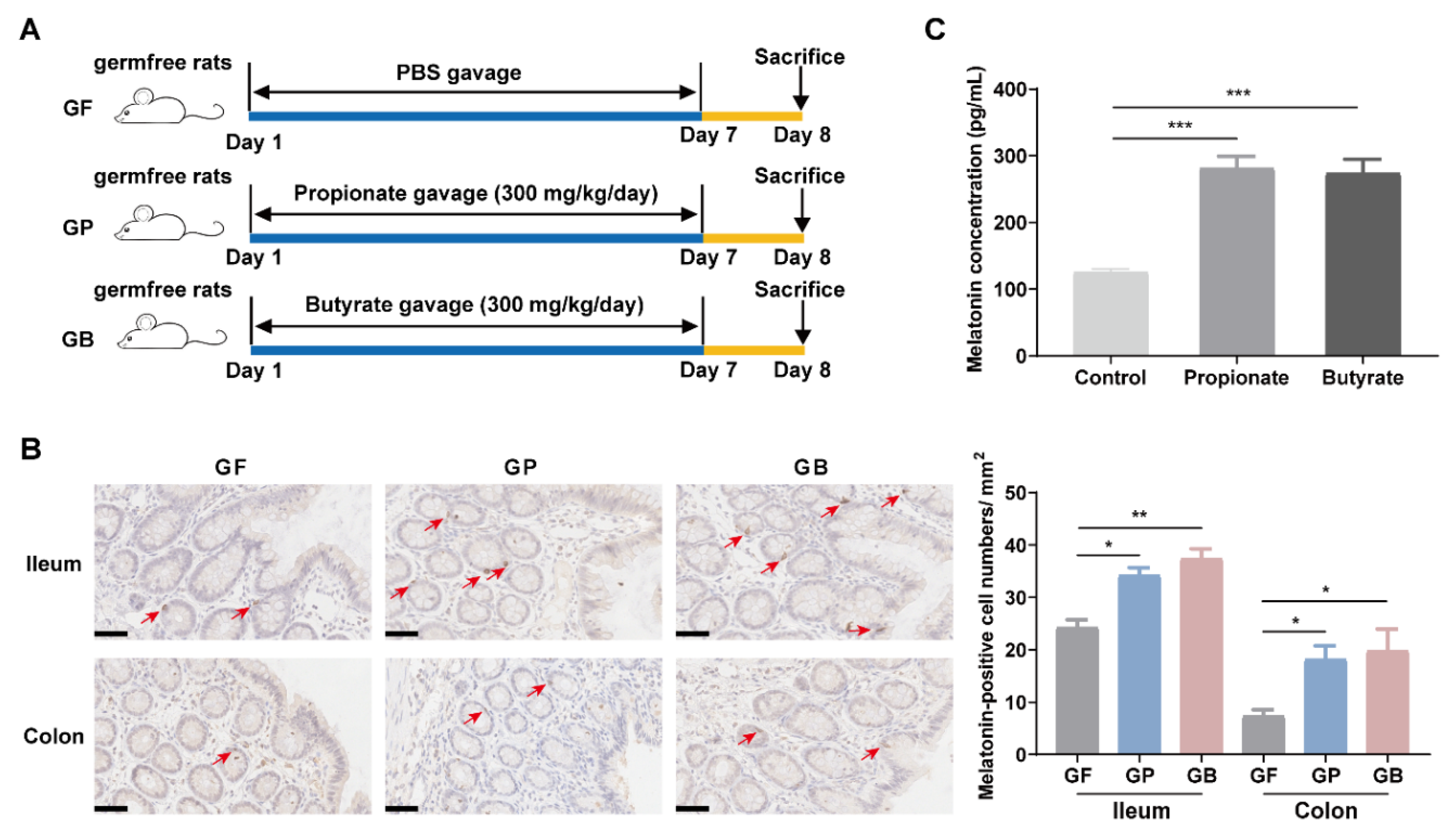Nutrients 14 00117 g002 Nutrients 14 00117 g002