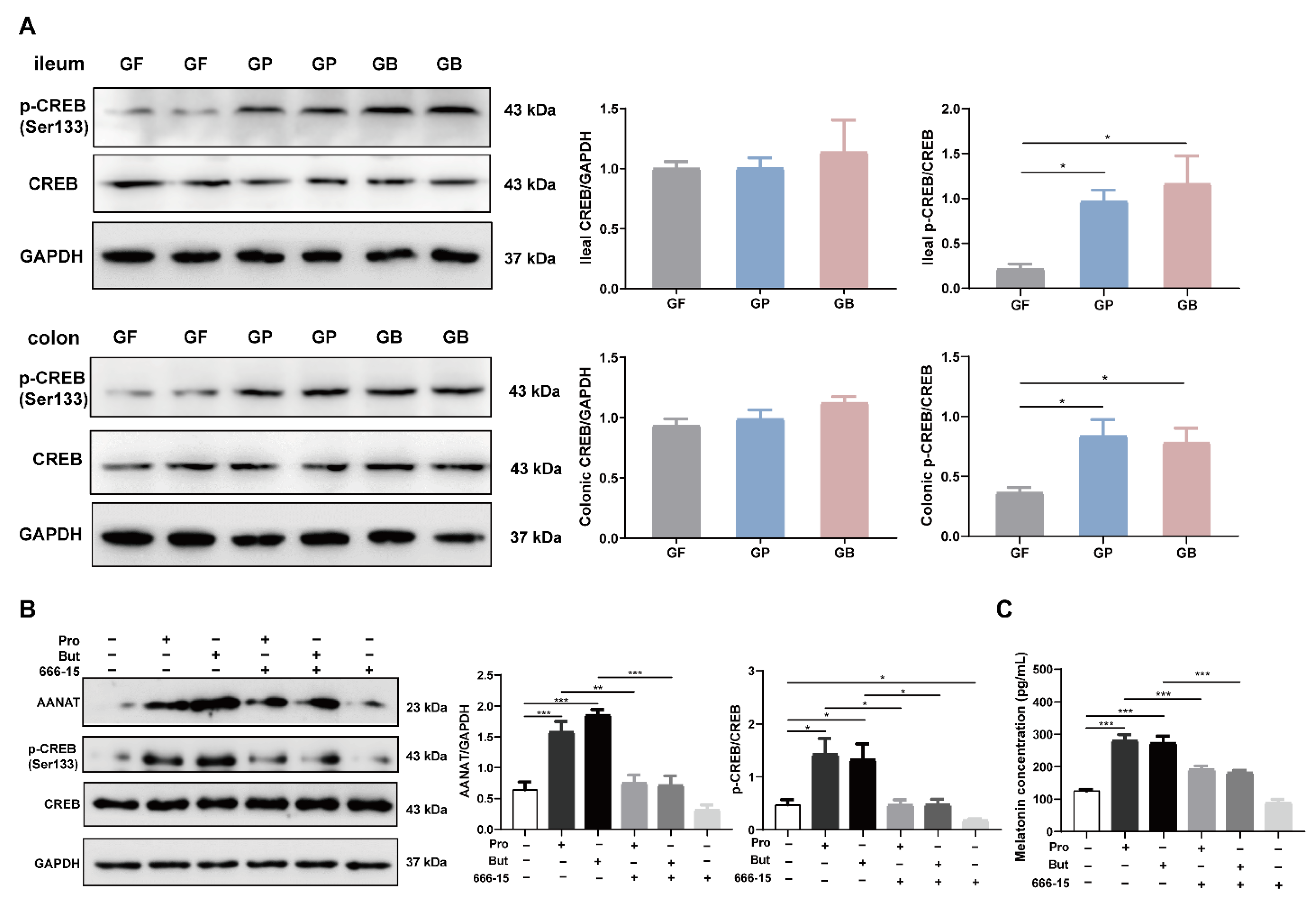 Nutrients 14 00117 g005 Nutrients 14 00117 g005