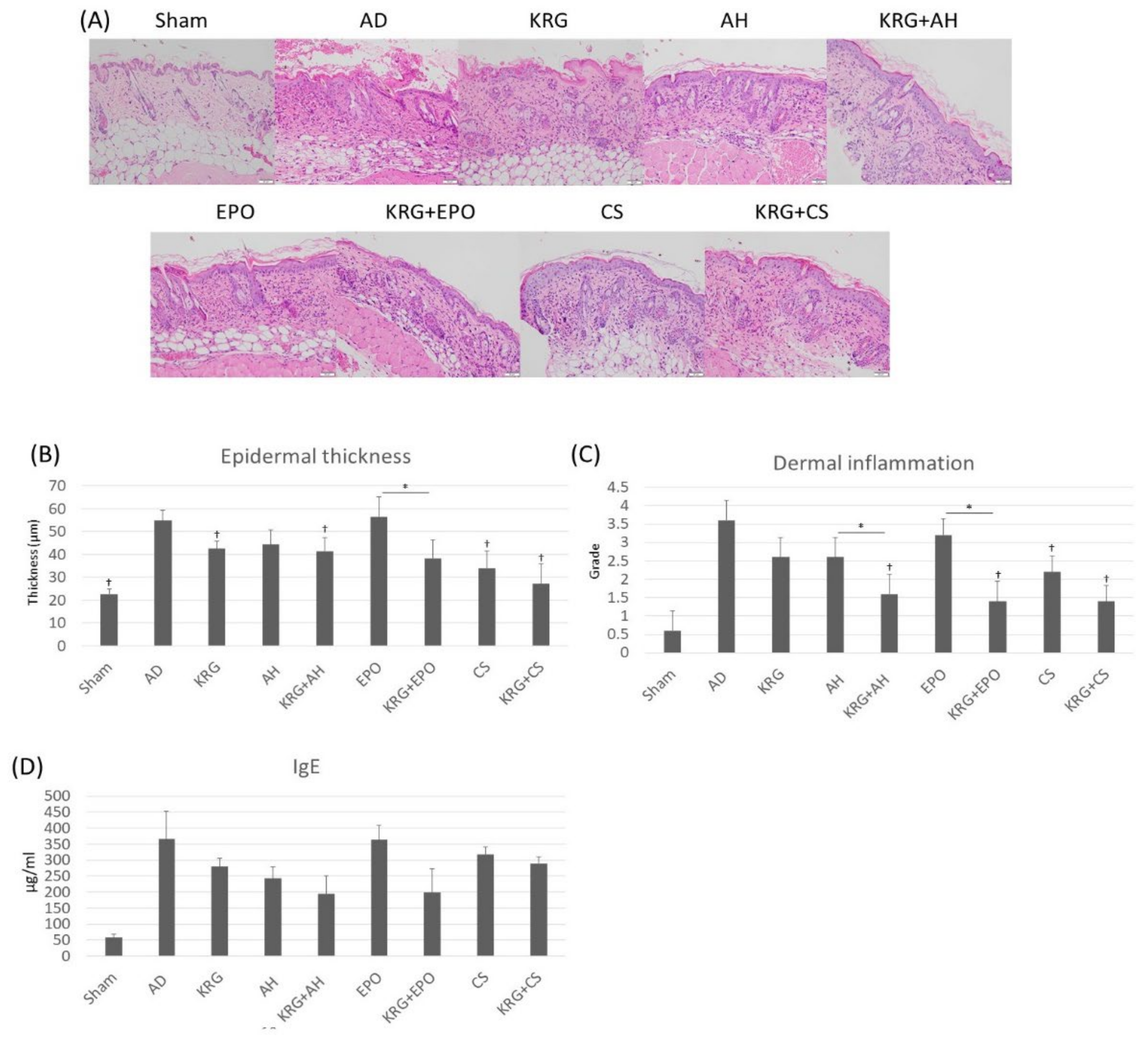 Nutrients 14 00133 g002 Nutrients 14 00133 g002