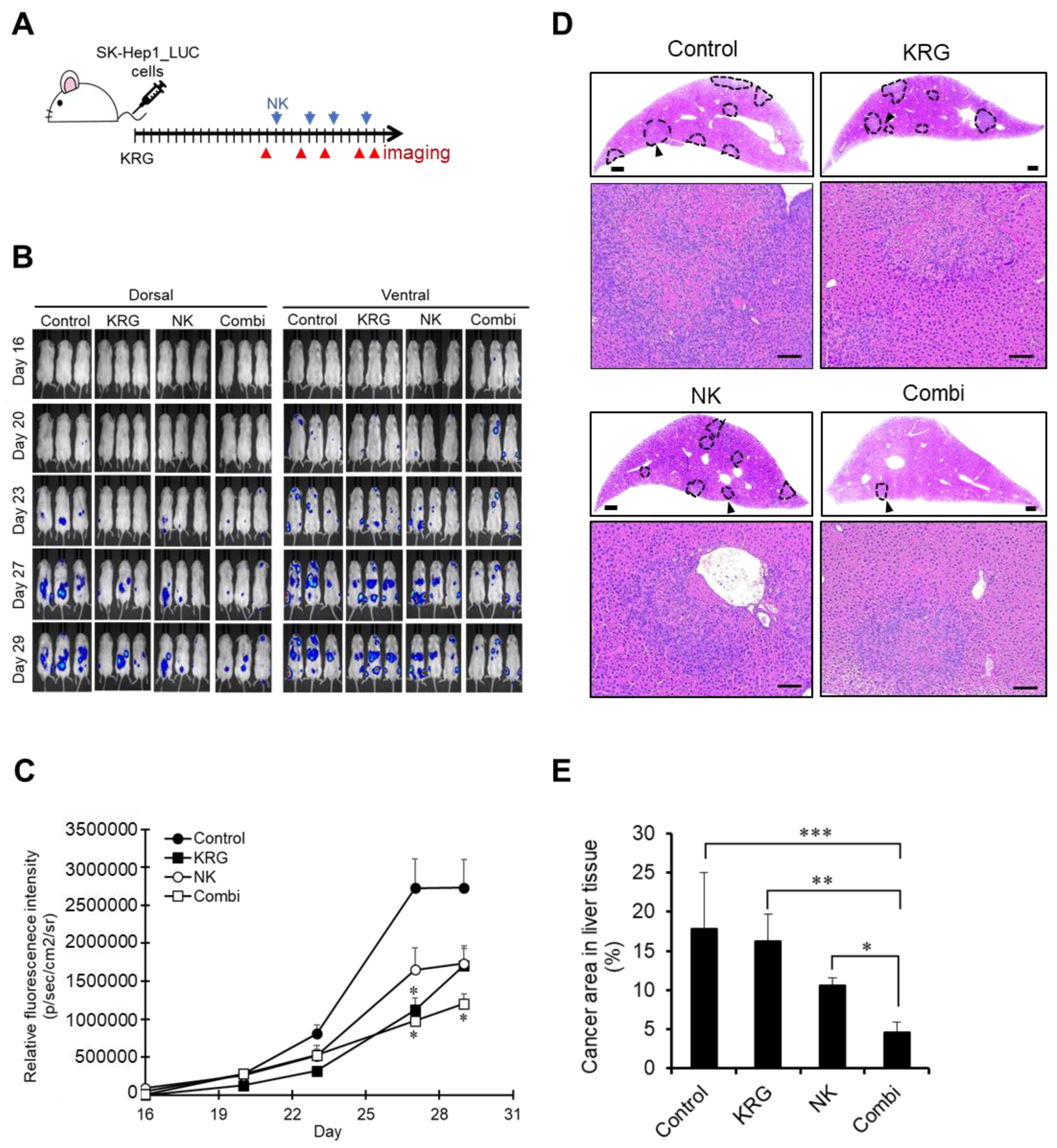 Nutrients 14 00134 g001