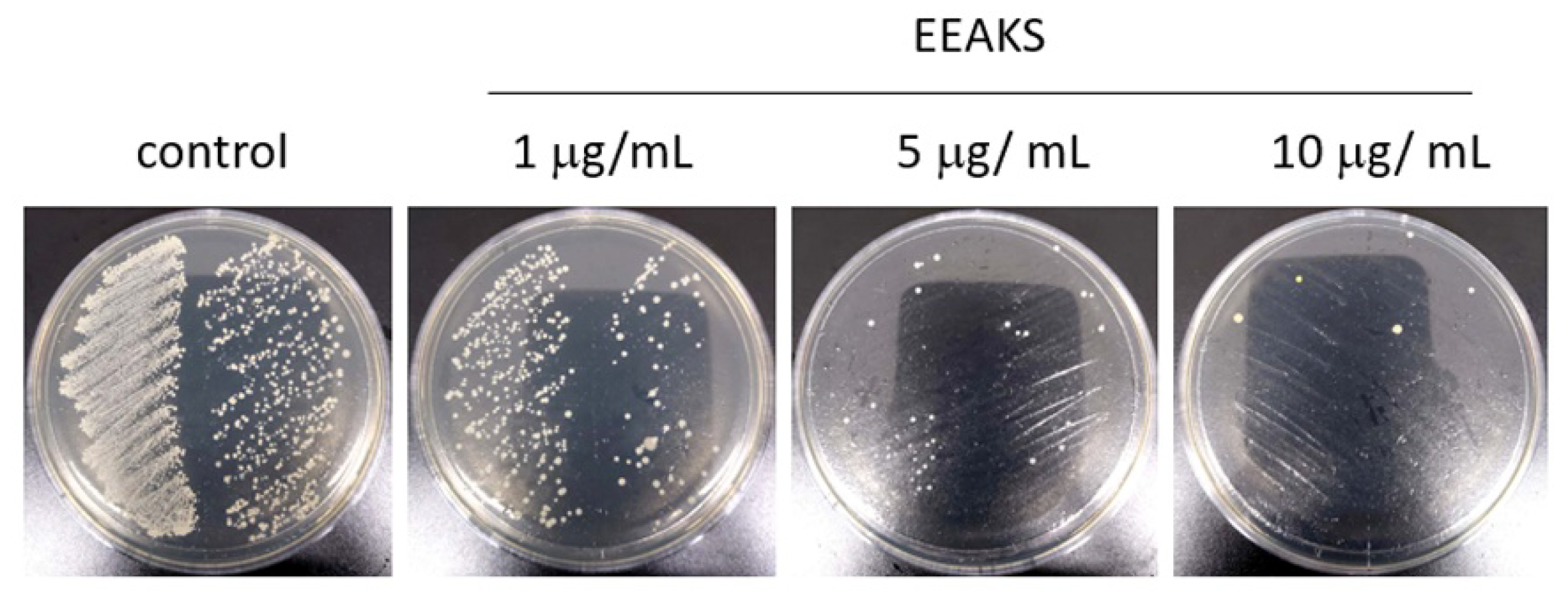 Nutrients 14 00136 g001