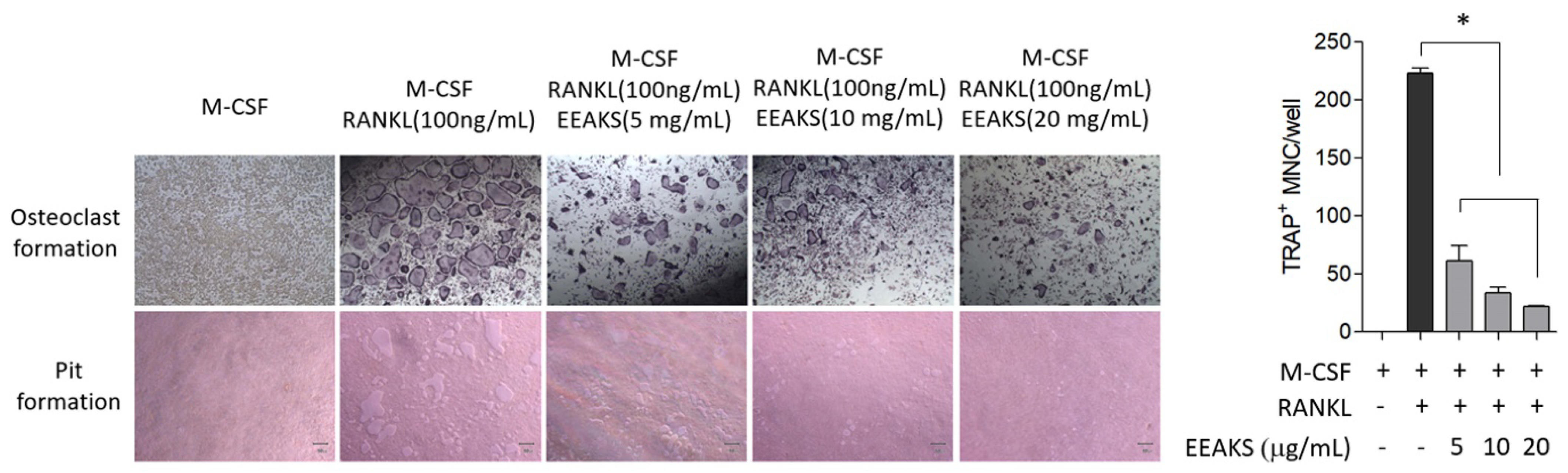 Nutrients 14 00136 g004