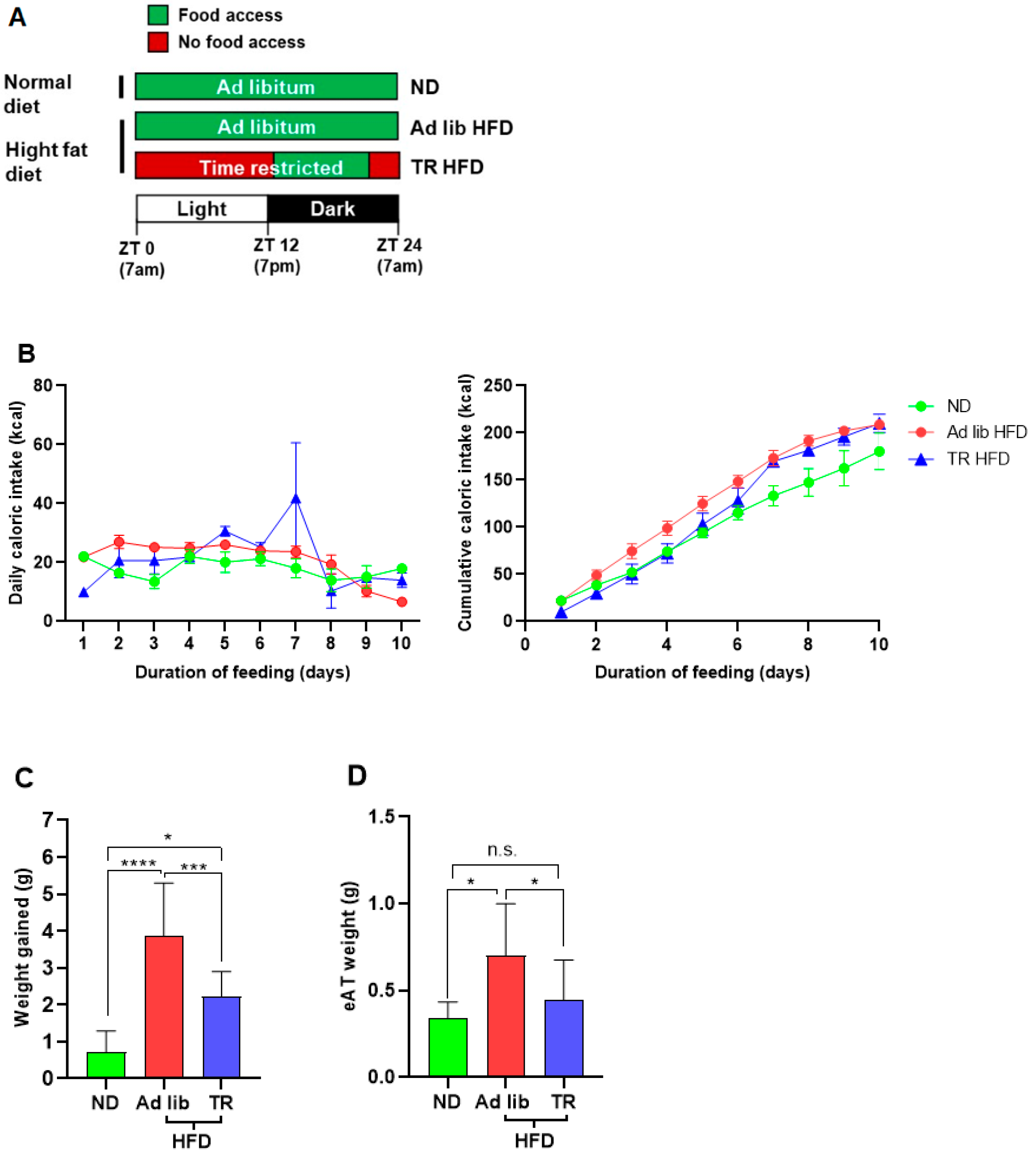 Nutrients 14 00139 g001