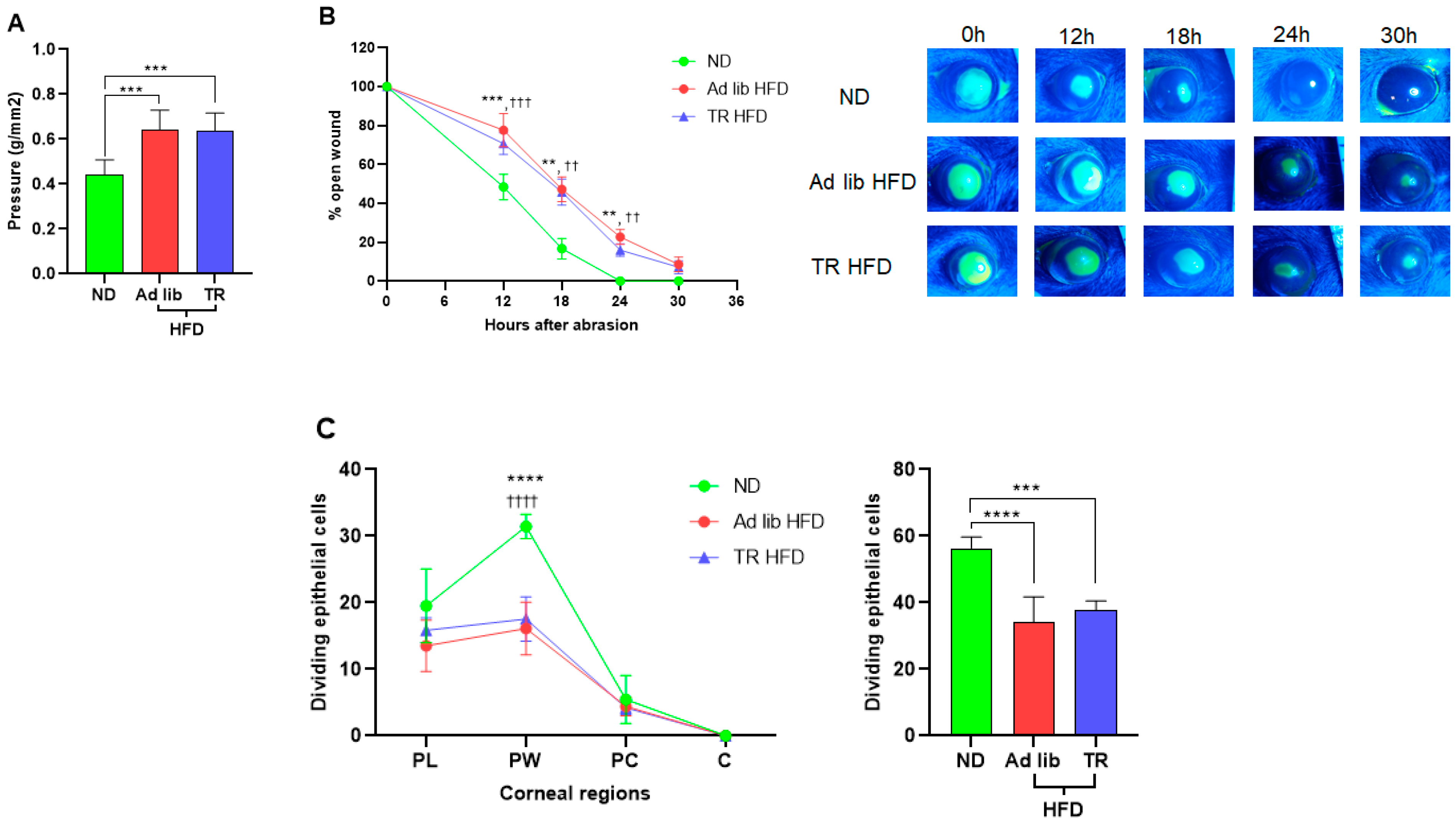 Nutrients 14 00139 g002