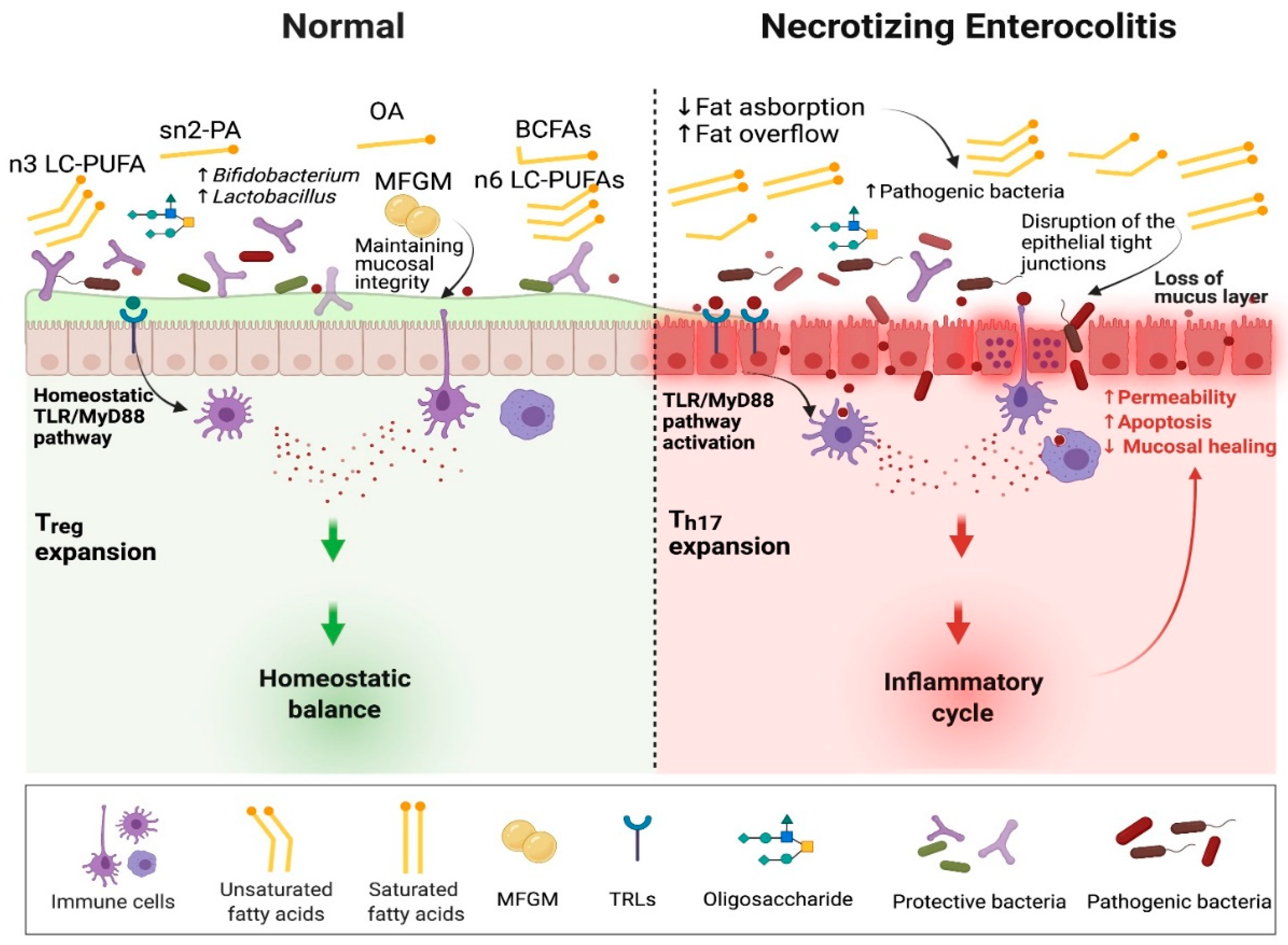 Nutrients 14 00145 g002