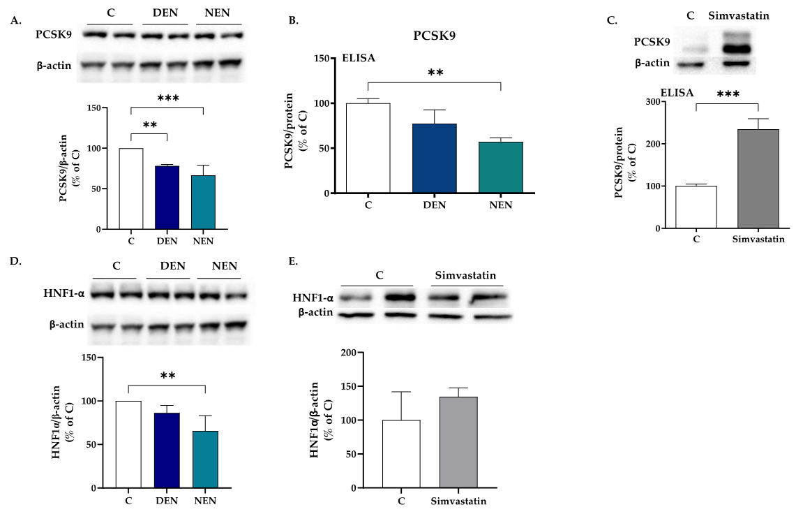 Nutrients 14 00193 g003