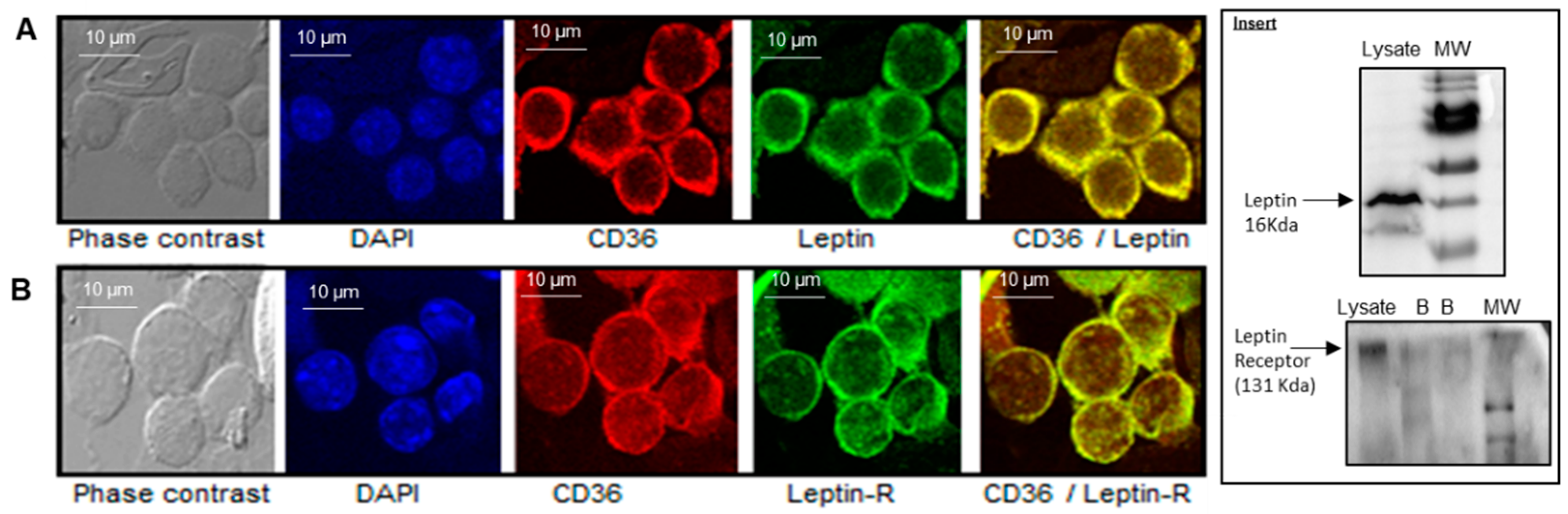 Nutrients 14 00197 g001