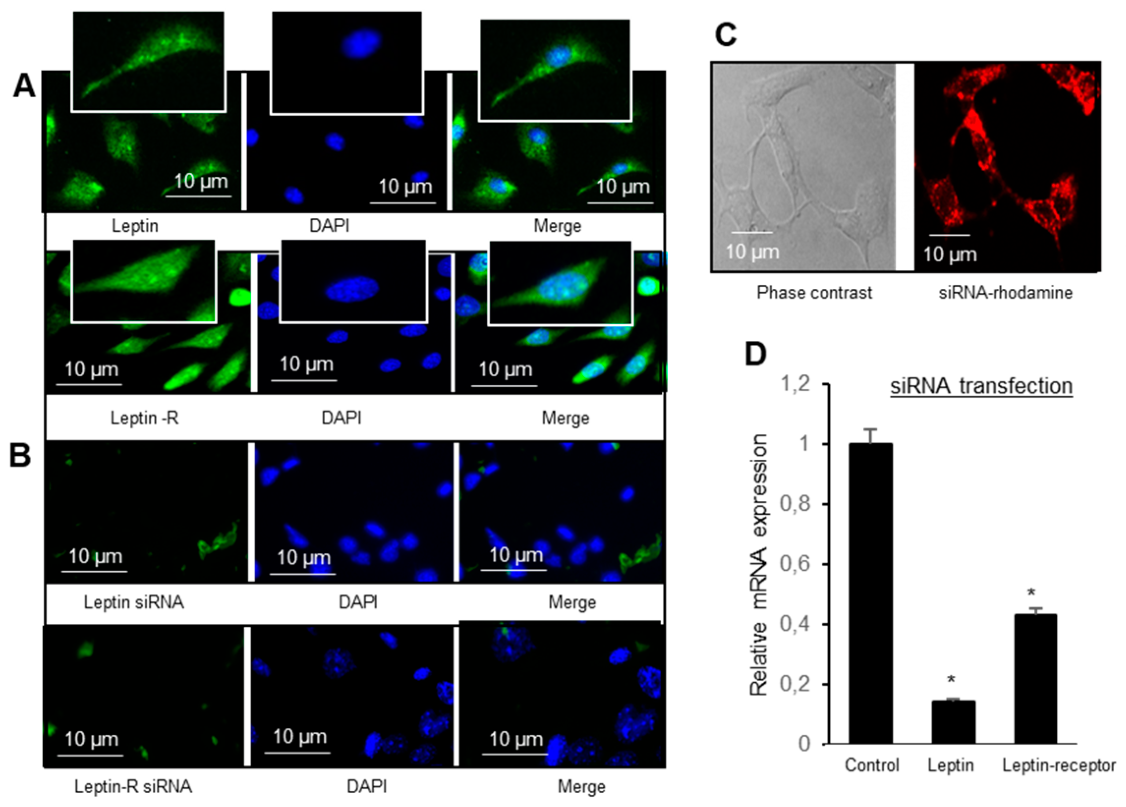 Nutrients 14 00197 g002
