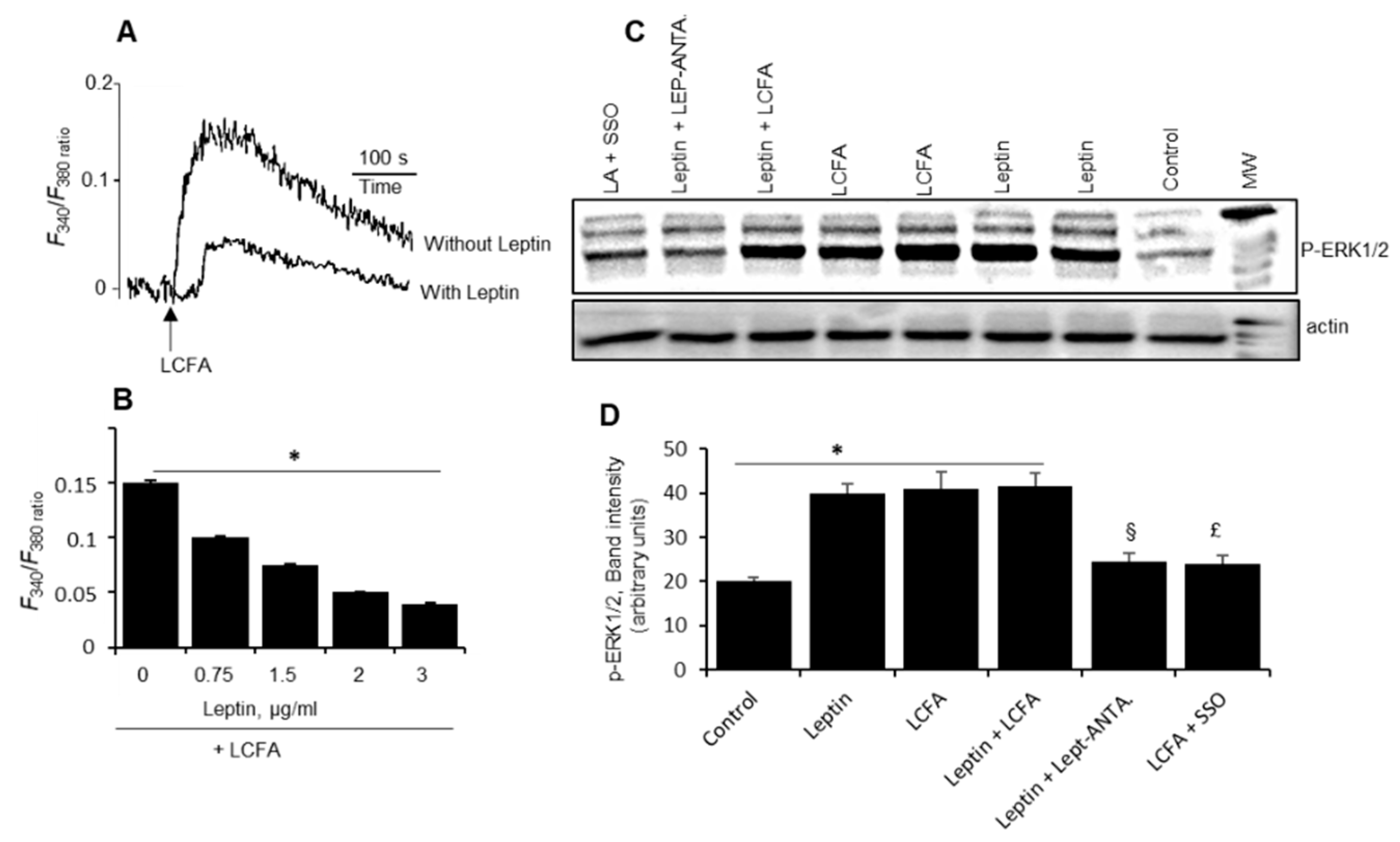 Nutrients 14 00197 g004